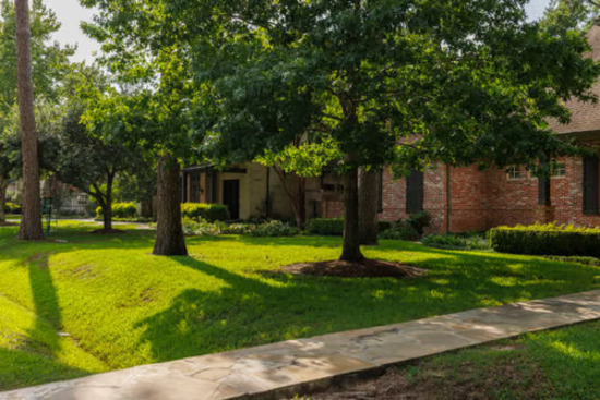 Houston Single-Family Home Landscaping Solutions