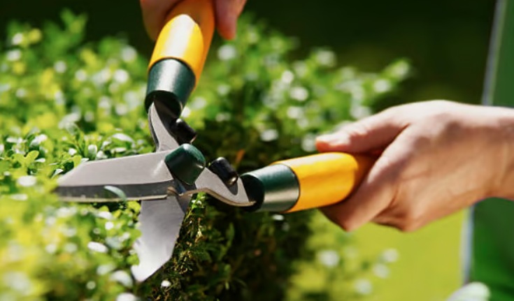 Property Managers Align Vendors