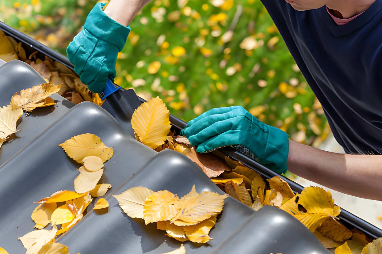 Gutter Cleaning in Houston, TX