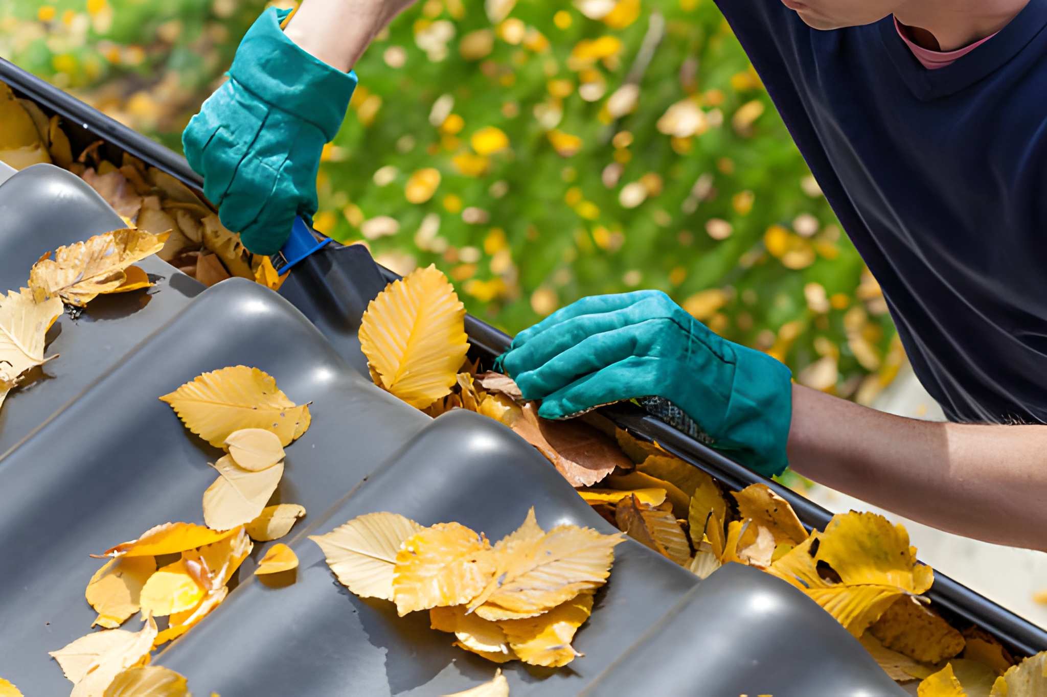 Worker clearing leaves from roof gutter during maintenance and repairs and seasonal home maintenance