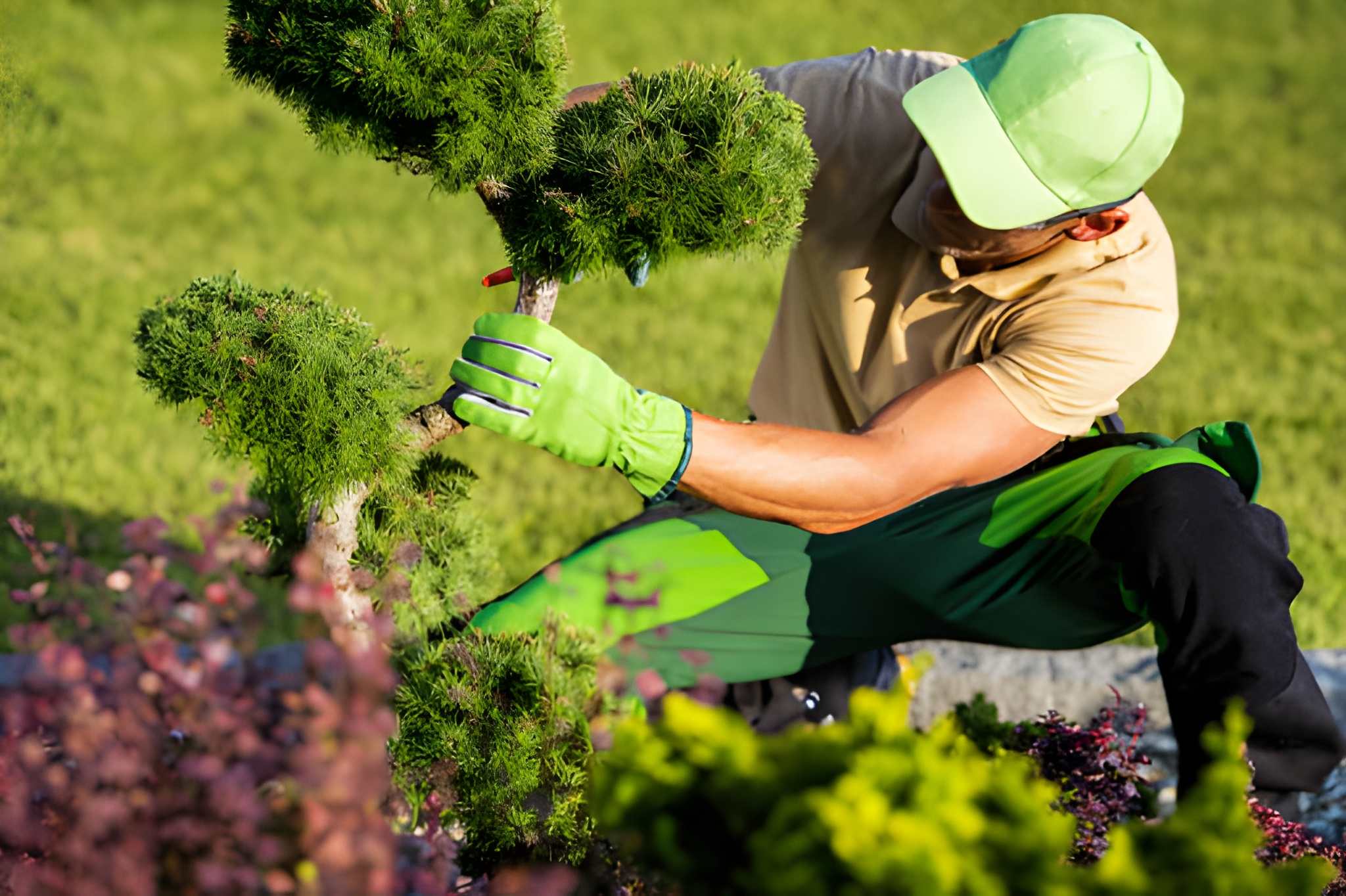 Worker trimming shrubs and trees for maintenance and repairs and professional home maintenance