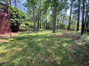 Storm damage cleanup and tree service in Georgia — Breasy field team at Atlanta rental property
