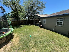After Tree Removal update Phoenix