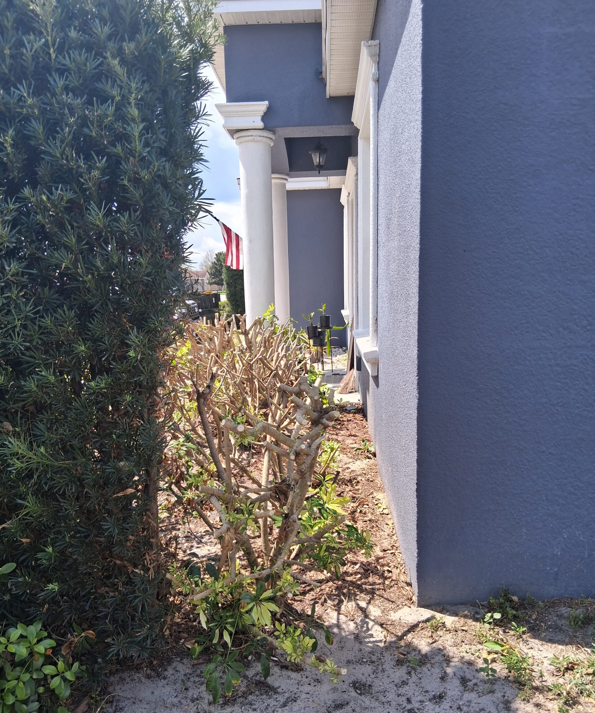 Exterior painting frequently asked questions for Apache Junction, AZ properties