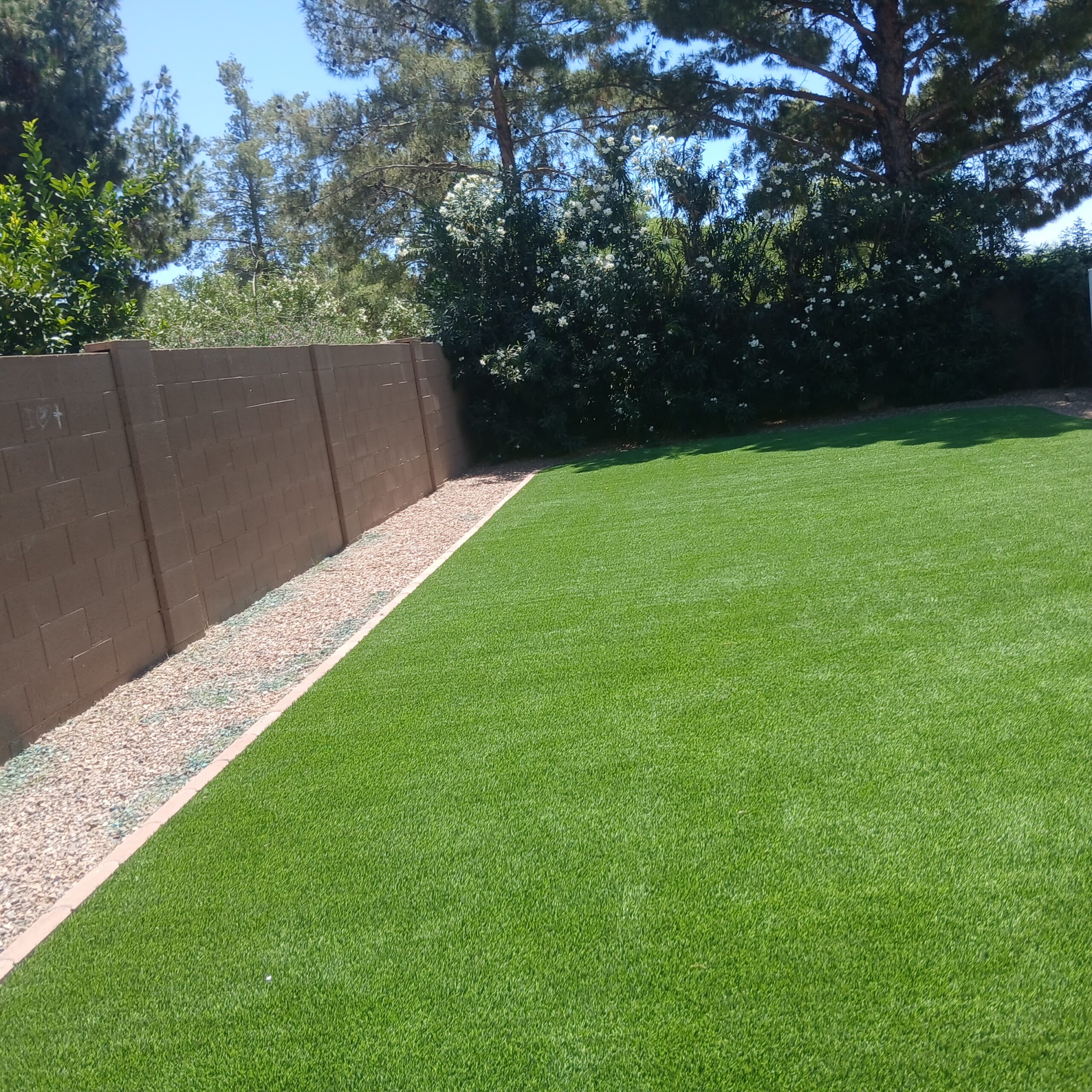 Landscape cleanup questions for Denver properties