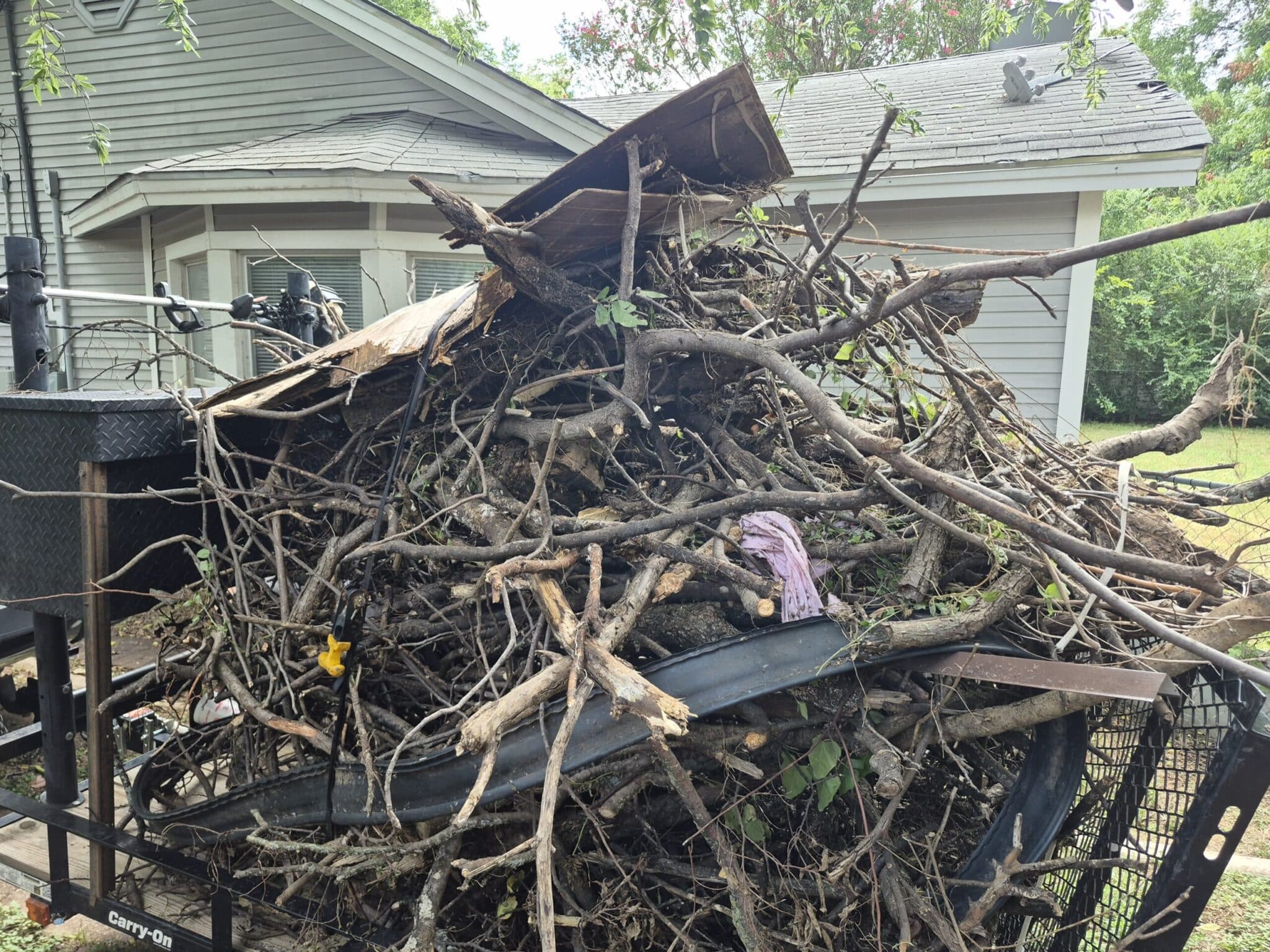 Tree services frequently asked questions for Apache Junction, AZ properties