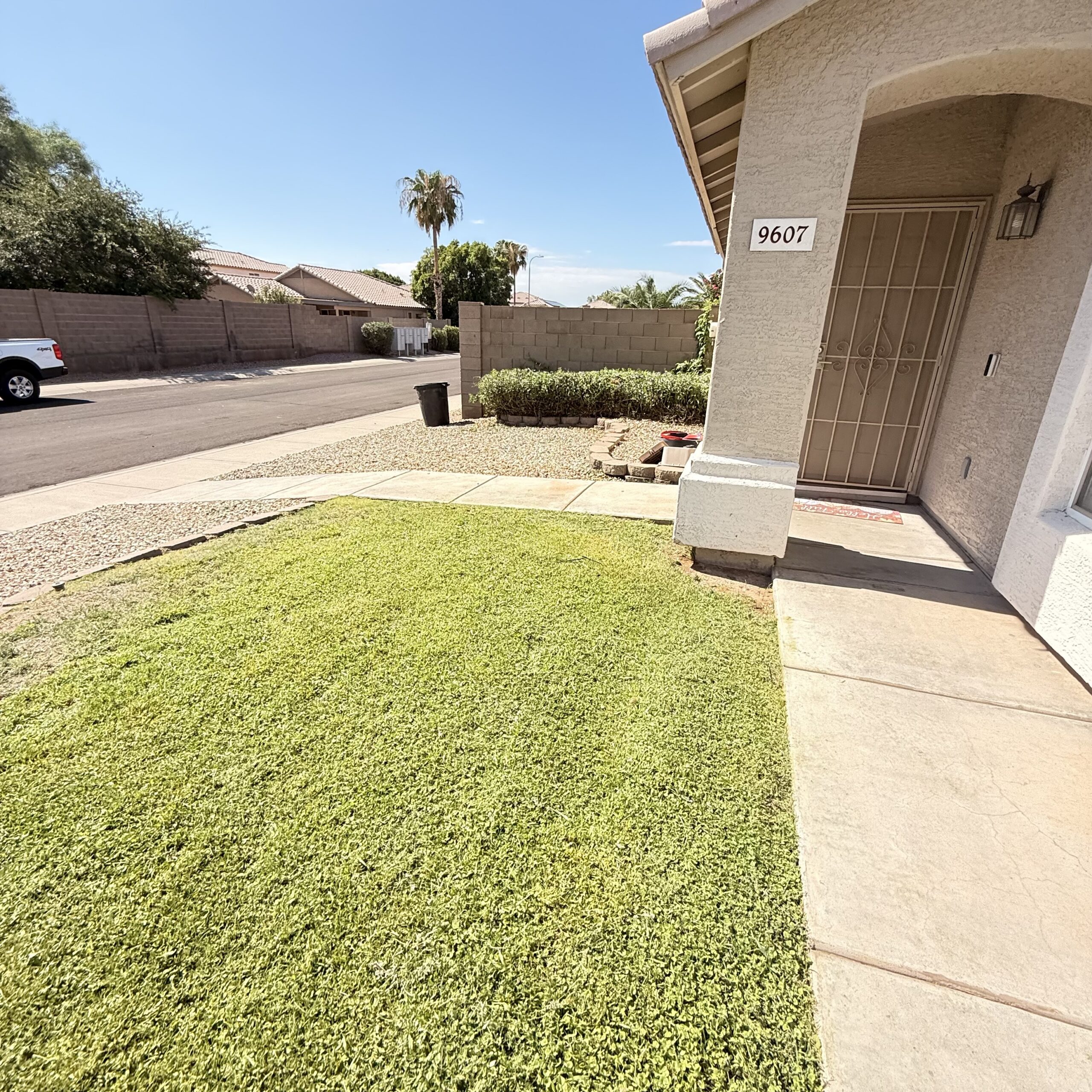 Hardscapes and Minor Installs