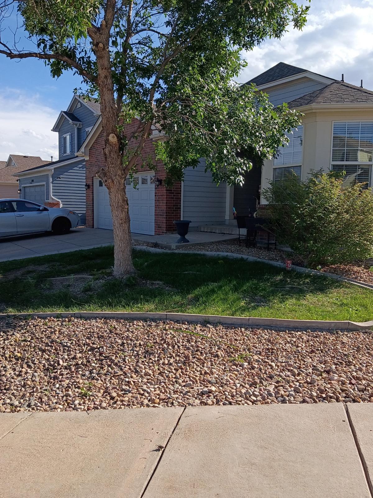 Sod installation and hardscape work completed at a Mesa, AZ property