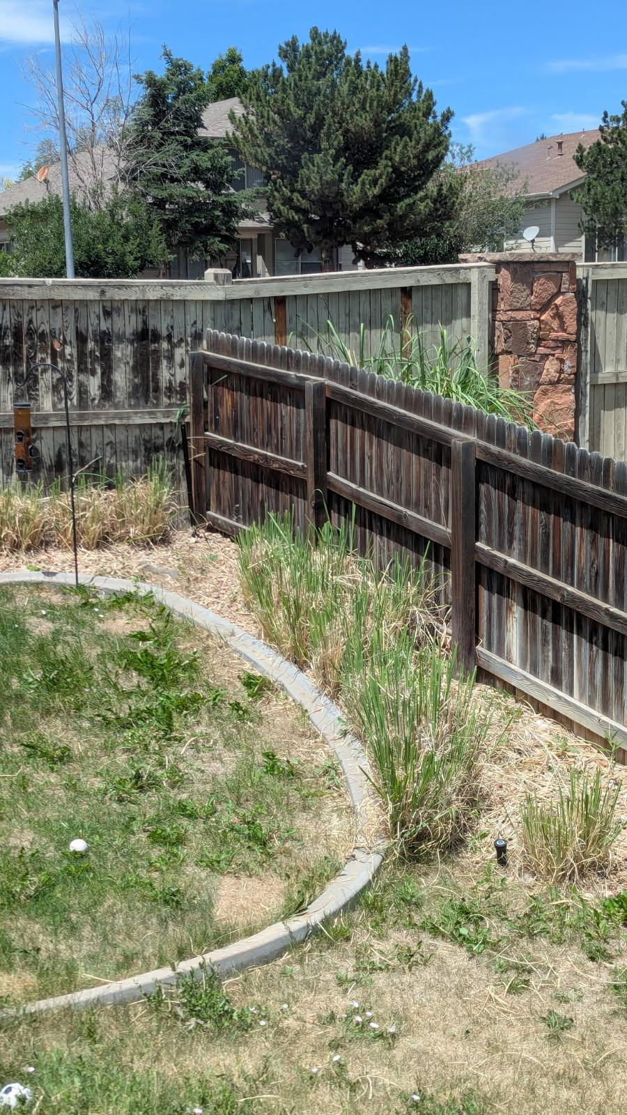 Weed abatement and mowing catch-up work for HOA compliance in San Tan Valley, AZ