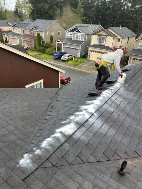 Breasy pressure washing visit in Scottsdale, AZ