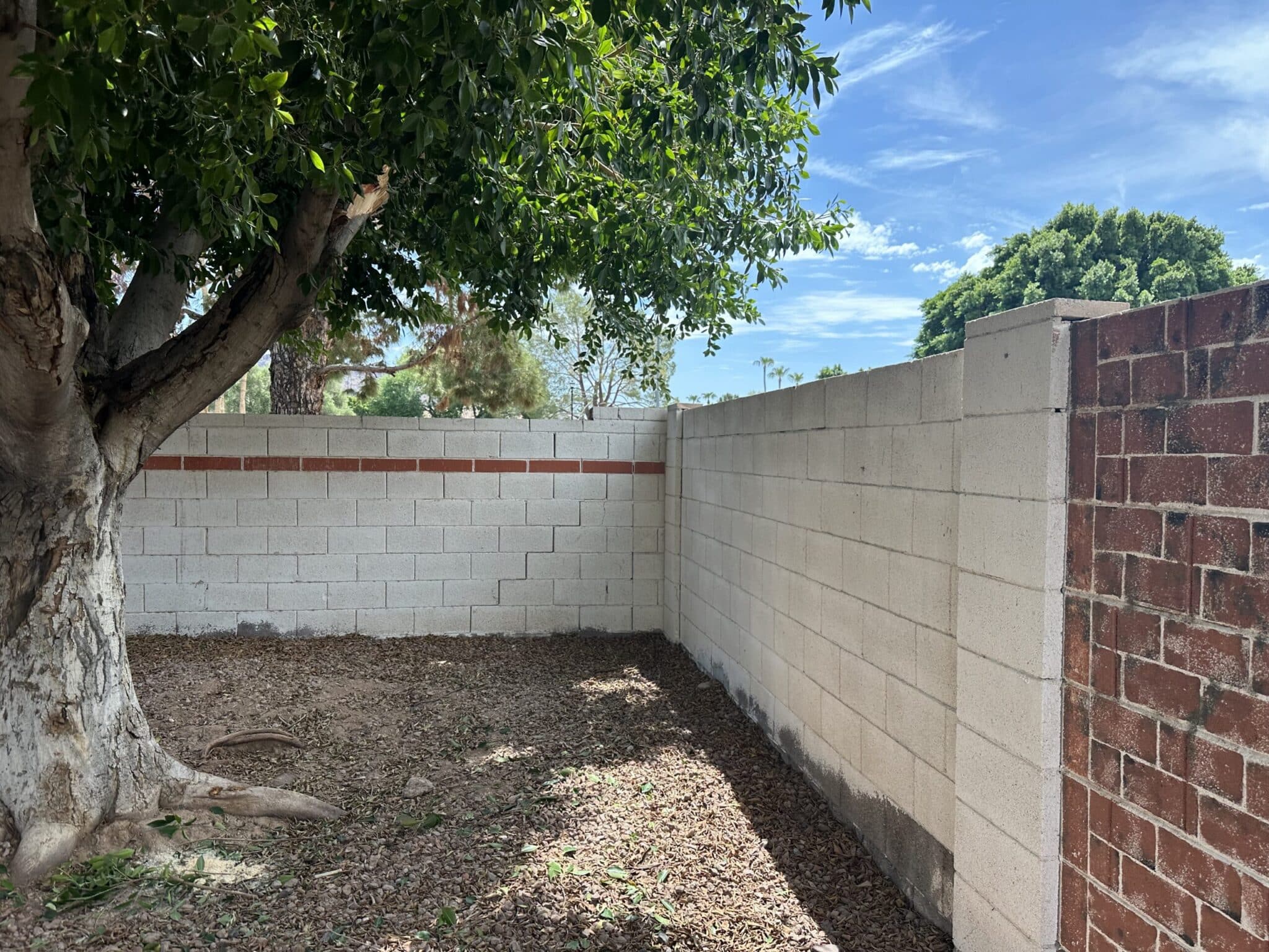 Dead landscaping in a San Tan Valley rental property cited by an HOA