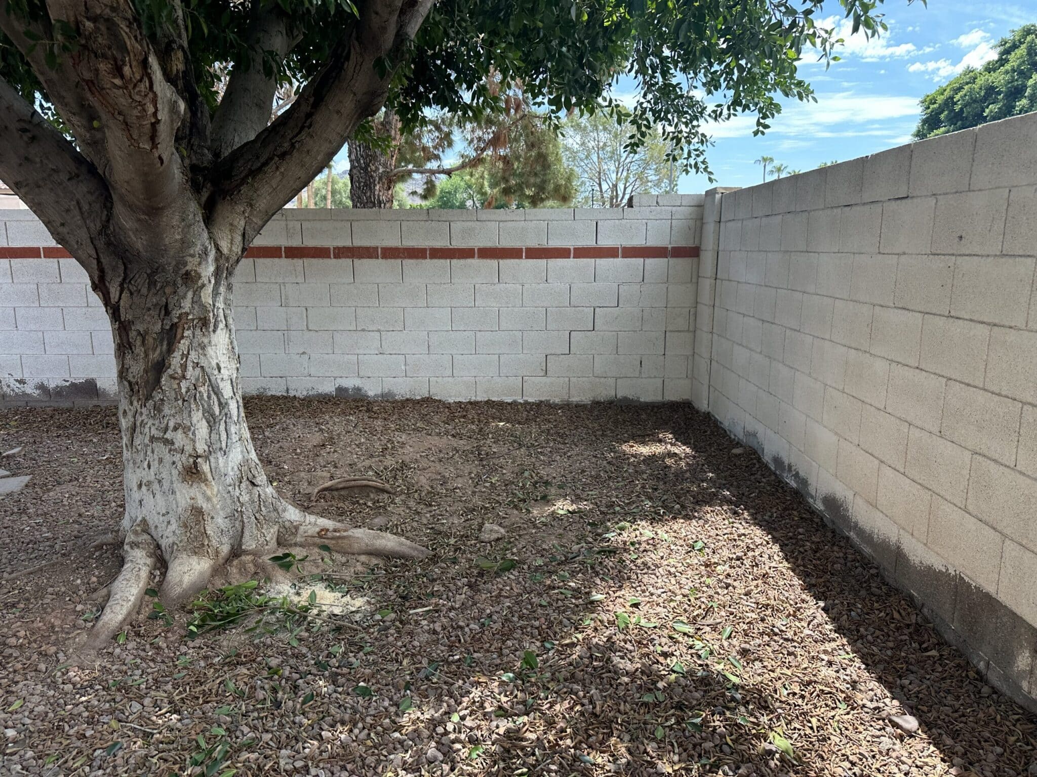 San Tan Valley HOA violation cleanup frequently asked questions