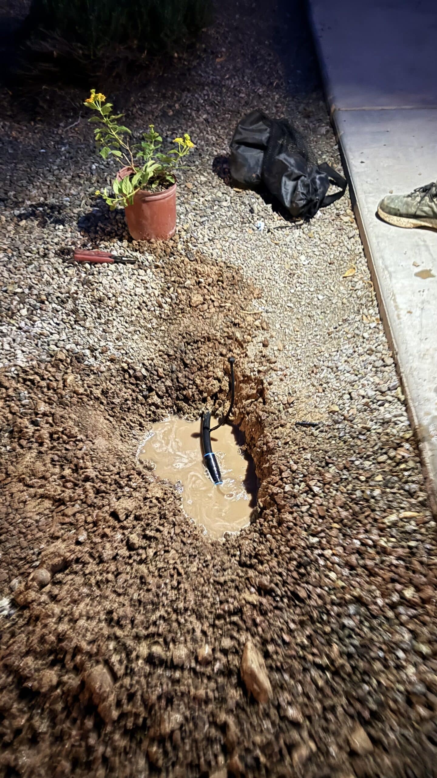 Drip line and emitter repair San Tan Valley AZ