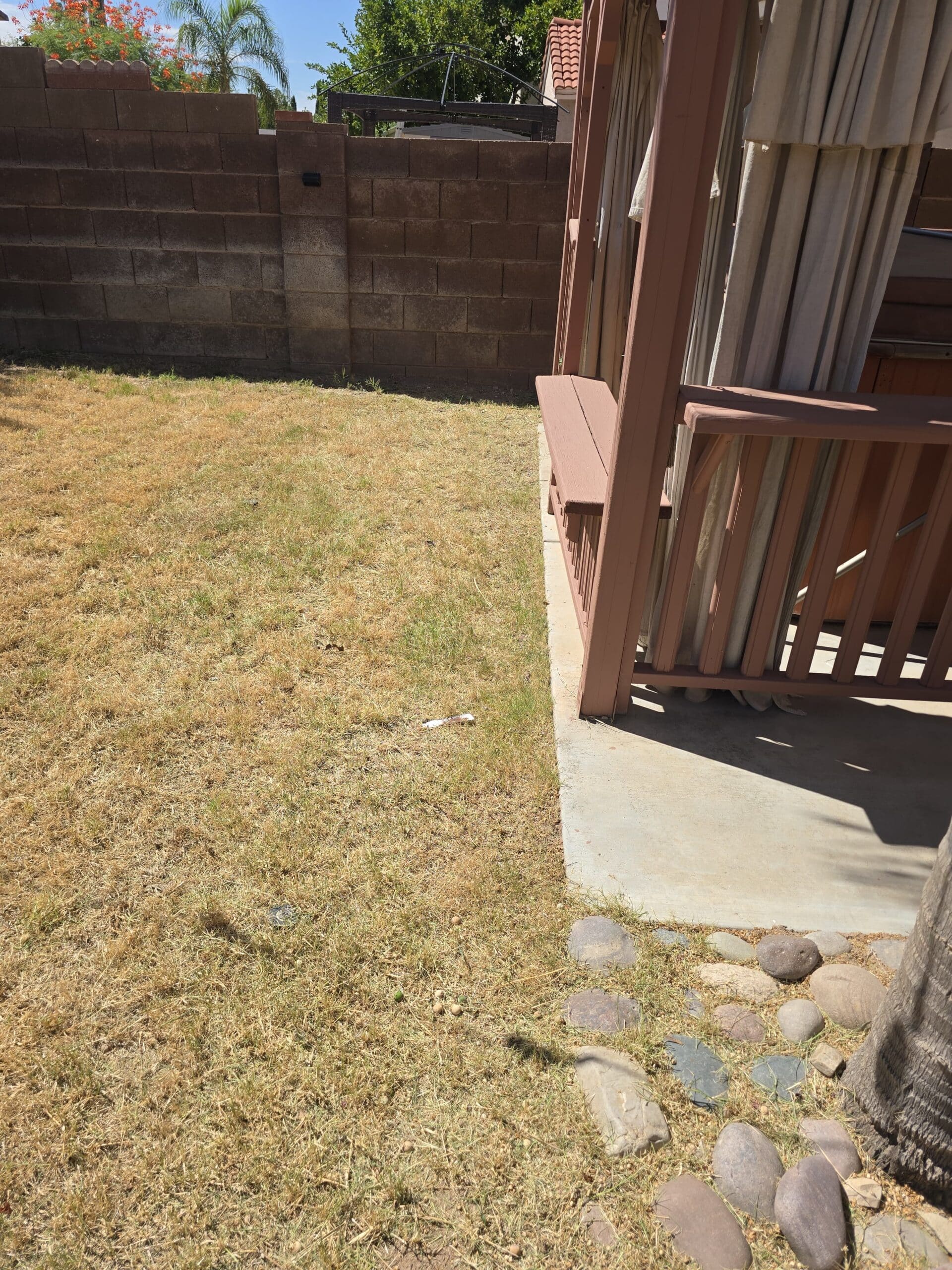 Breasy scoping a Desert Rural acreage lot for landscaping maintenance in Cave Creek