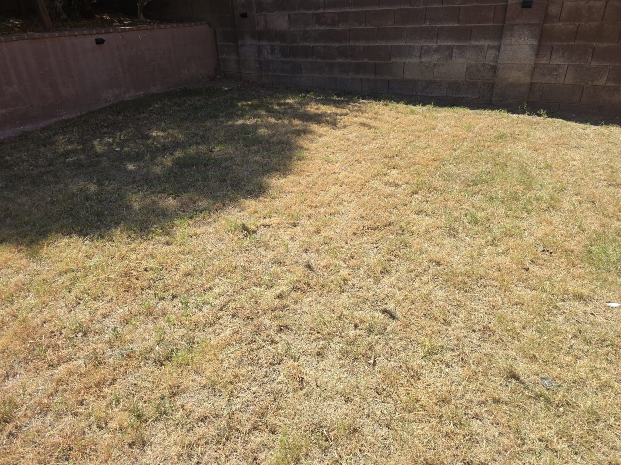 Breasy resolving an HOA landscaping violation at a Cave Creek community