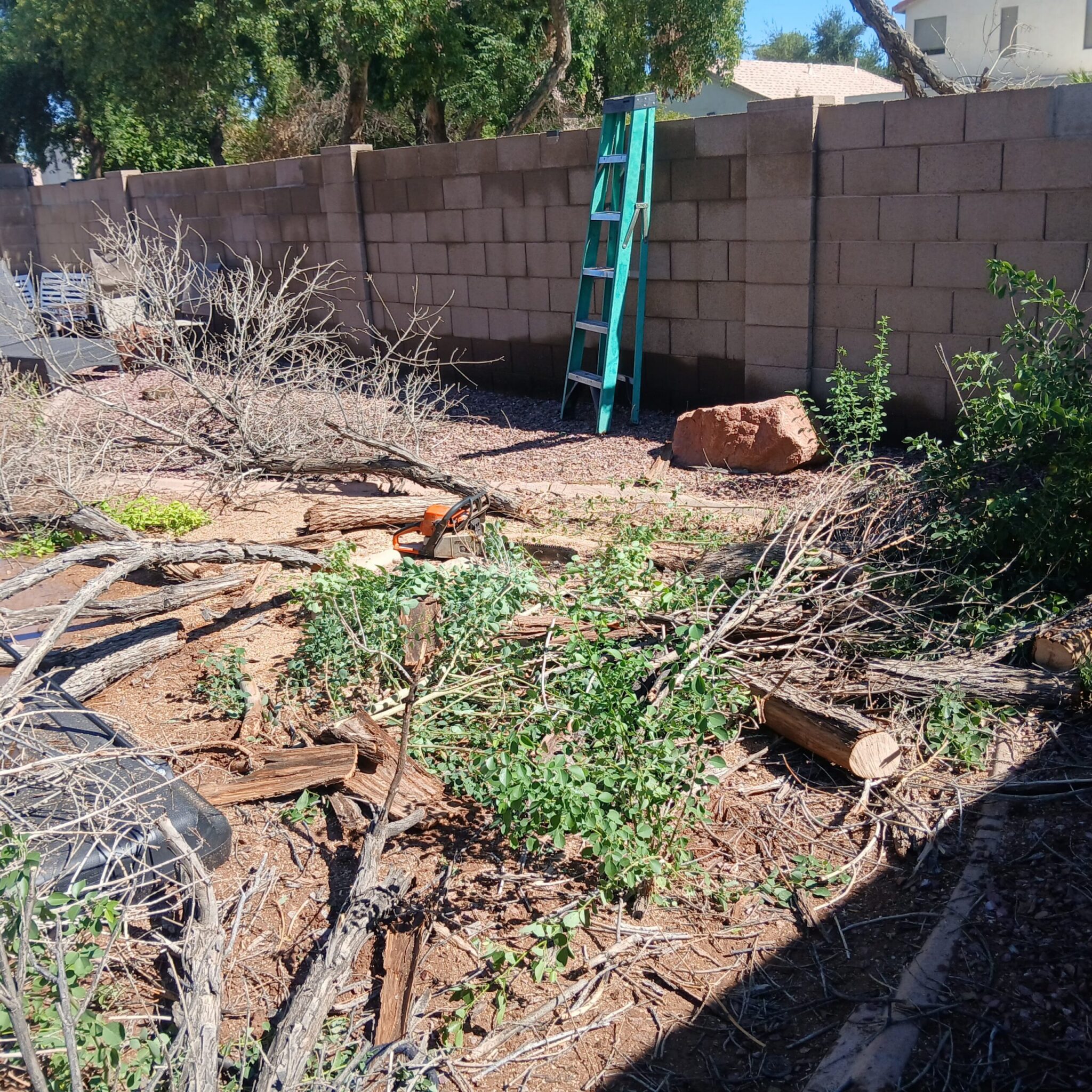 Tree Services work completed by Breasy