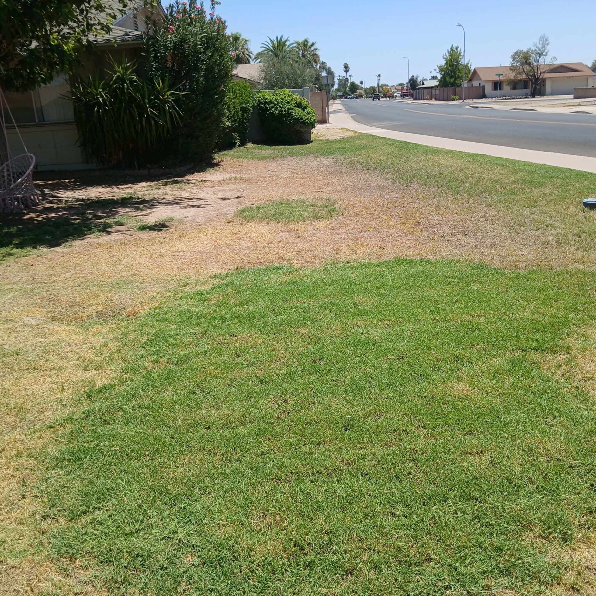 Recurring landscaping maintenance in Apache Junction, AZ