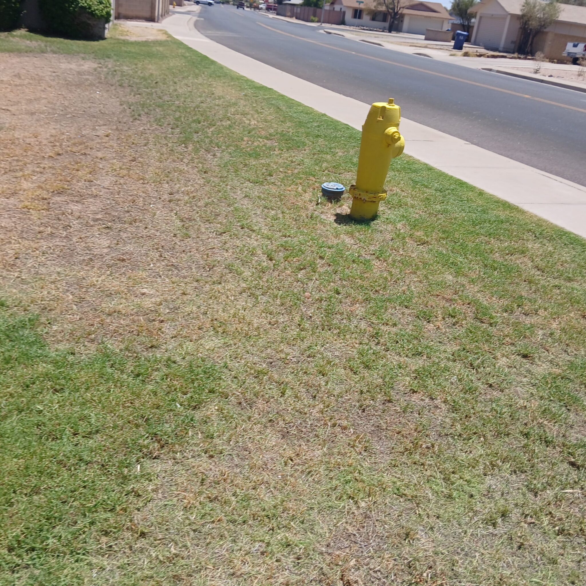 Sod and hardscape installation near Apache Junction, AZ