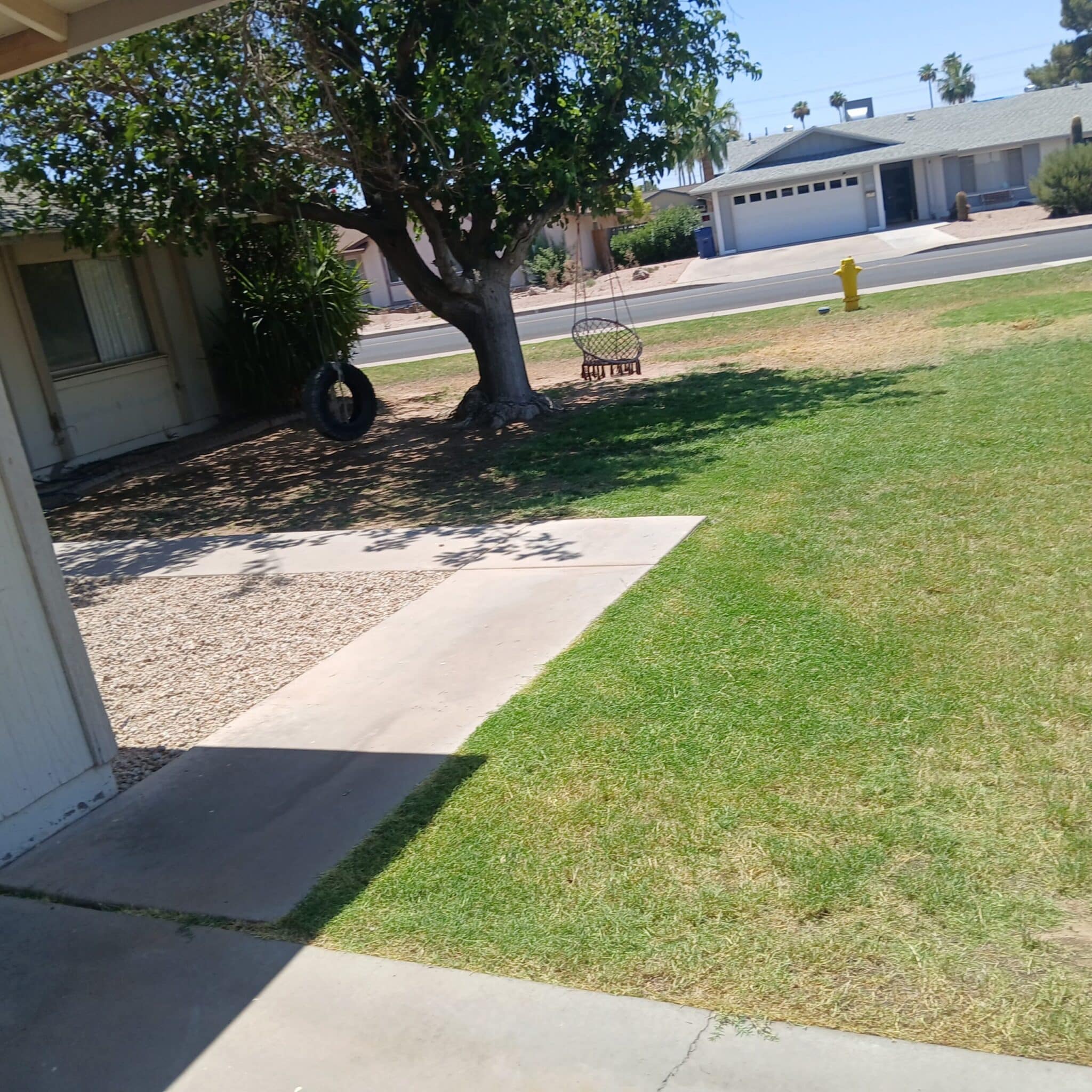 Xeriscape and desert plant installation near the Superstition Mountains in Apache Junction, AZ