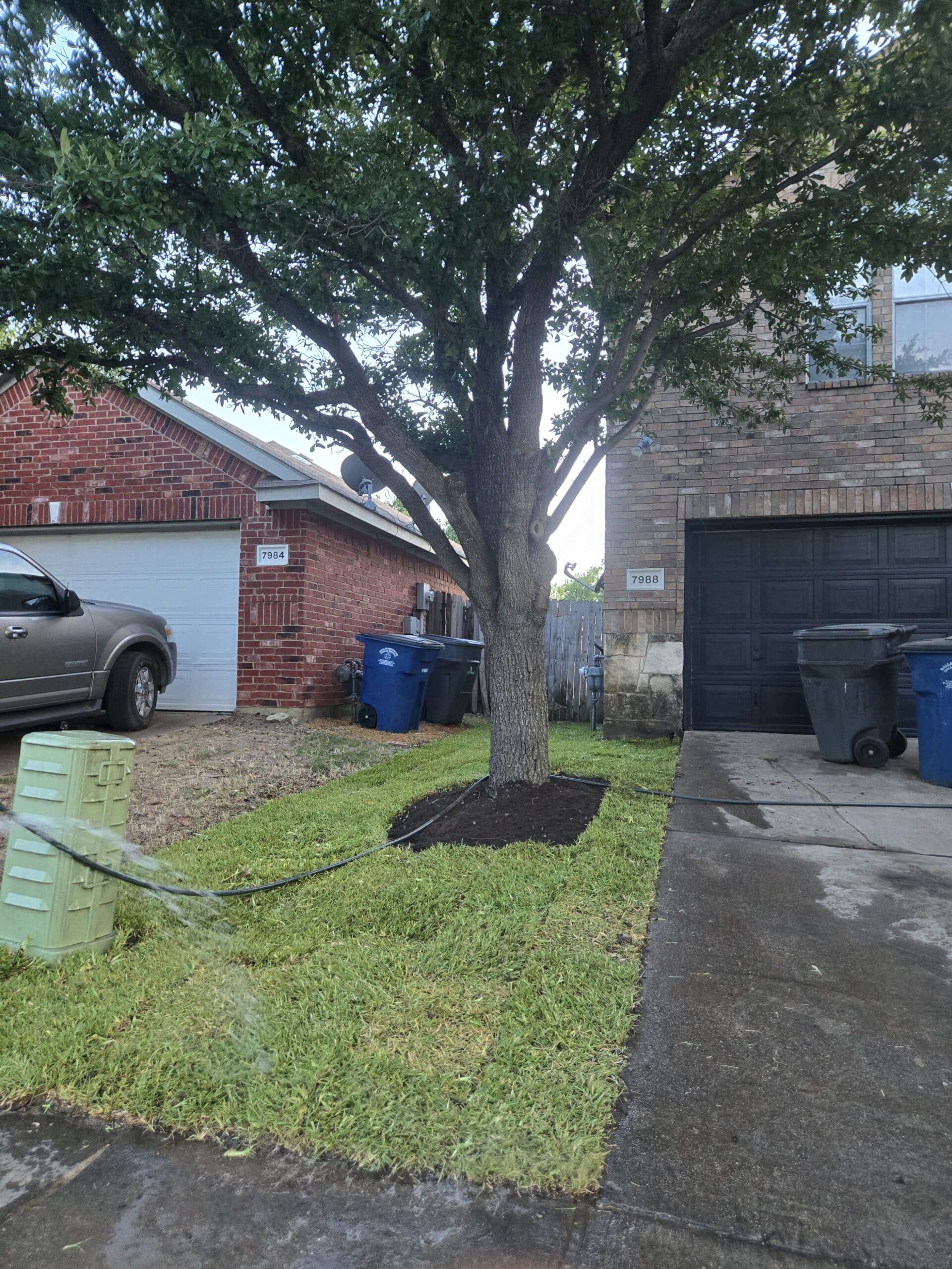 Sandy Central Florida soil before sod installation in Orlando, FL