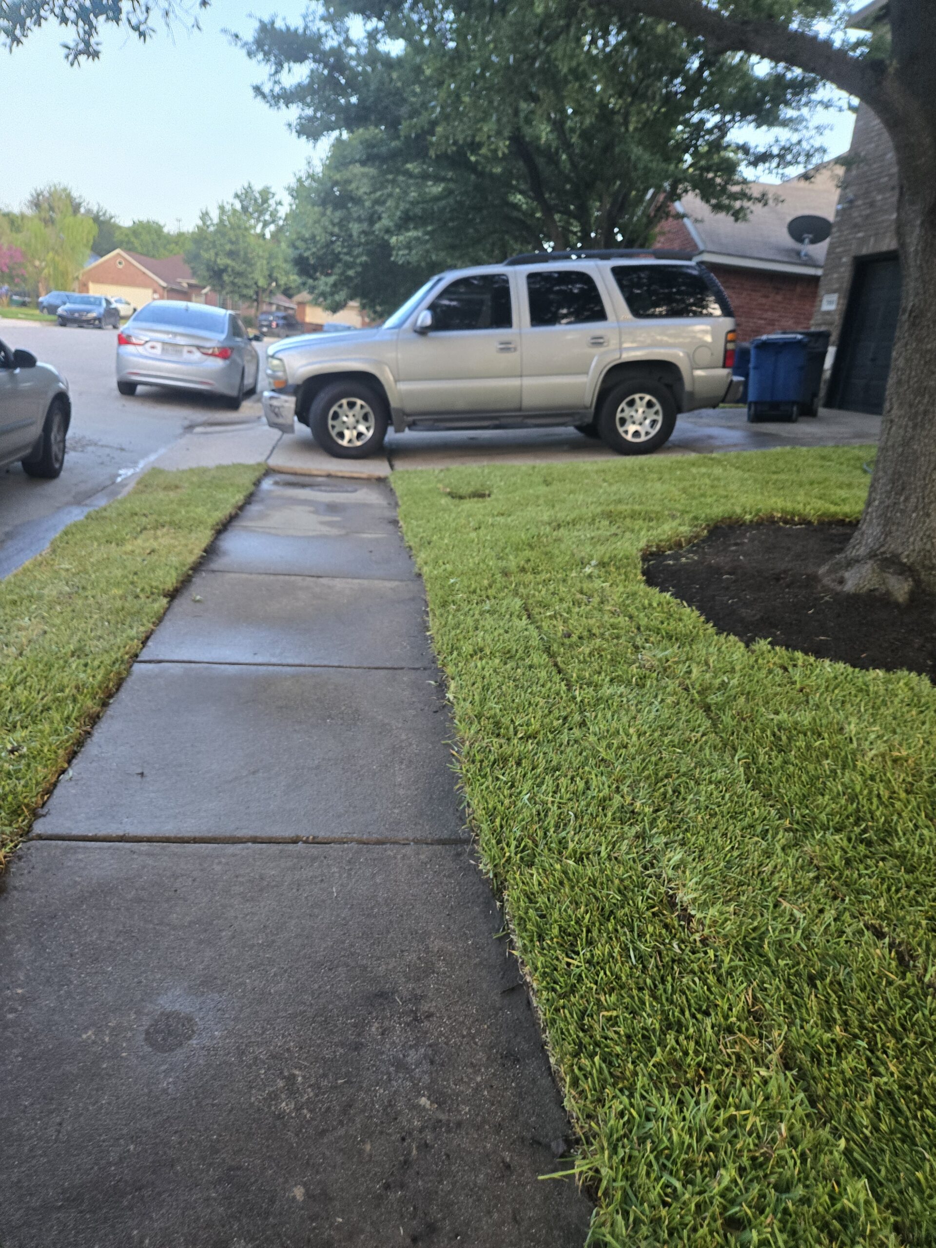 Freshly installed green lawn after sod installation in Austin, TX