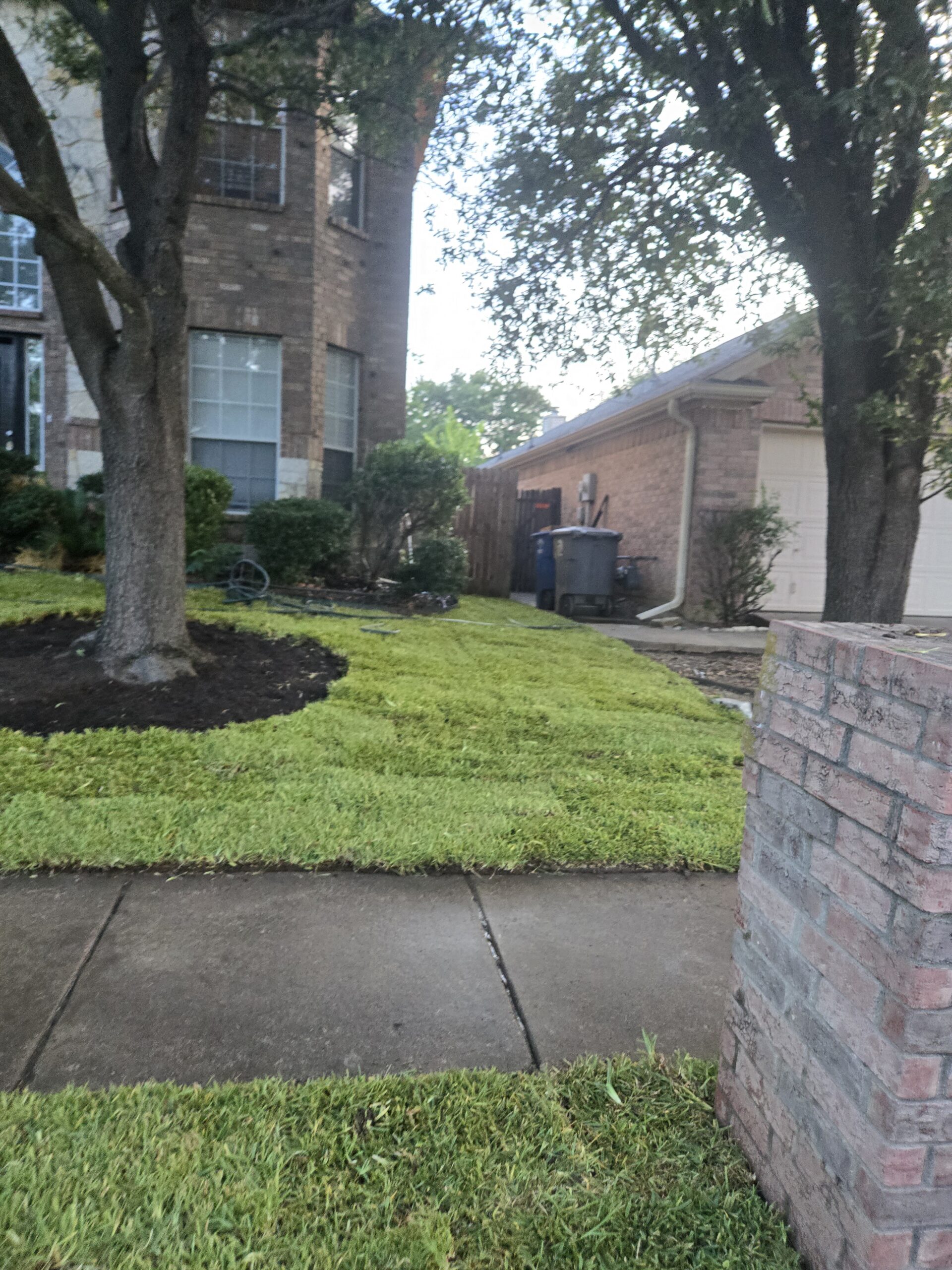 Caliche removal and soil grading before sod installation in Austin, TX