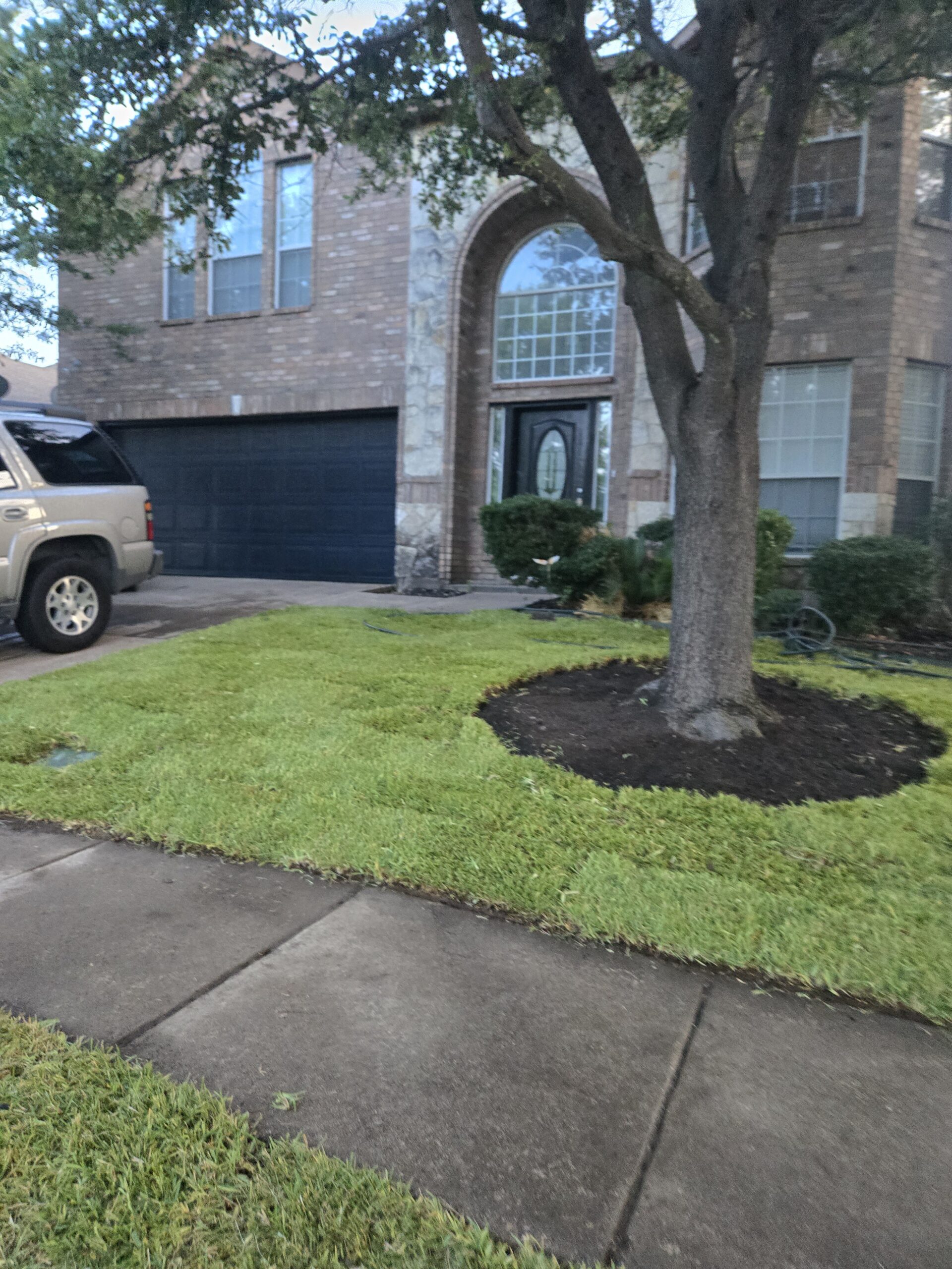 Comparing Bermuda, Zoysia, and St. Augustine sod for an Austin, TX yard