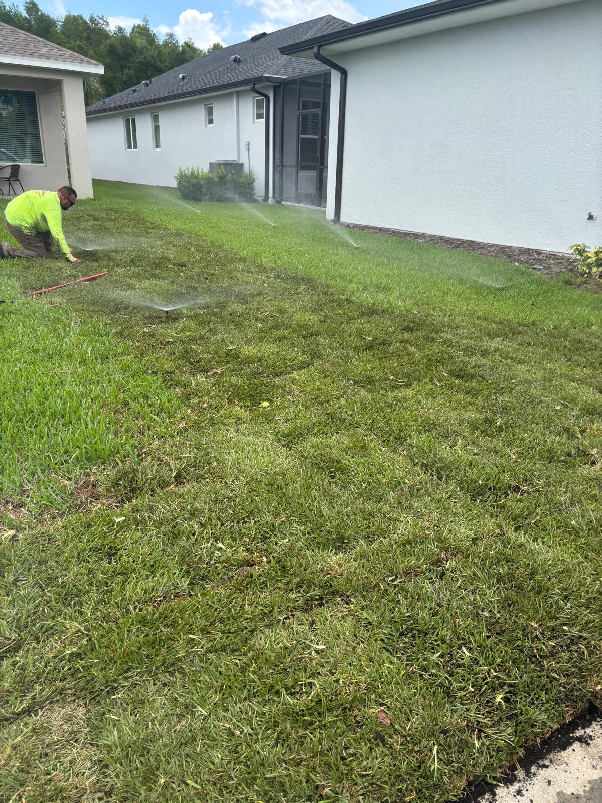 Freshly installed green lawn after sod installation in Tampa, FL