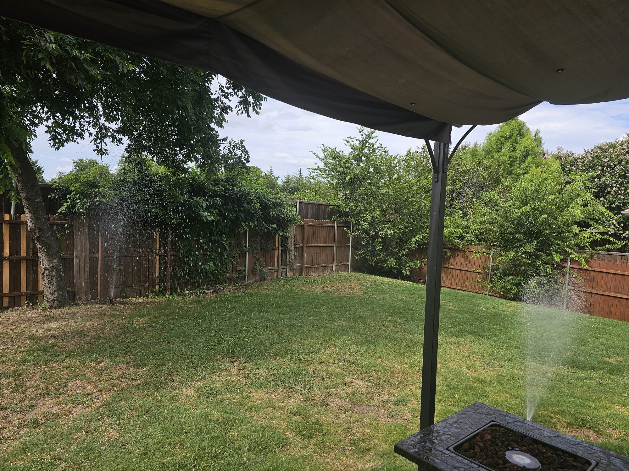 Freshly installed green lawn after sod installation in Dallas, TX