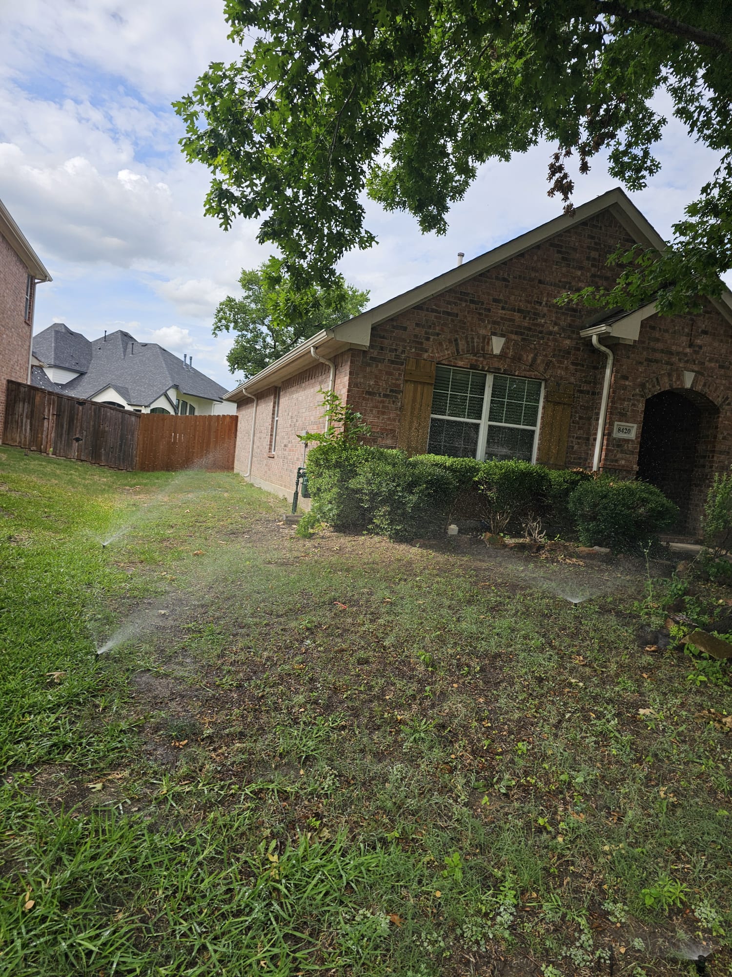 Freshly installed sod lawn in Dallas, TX