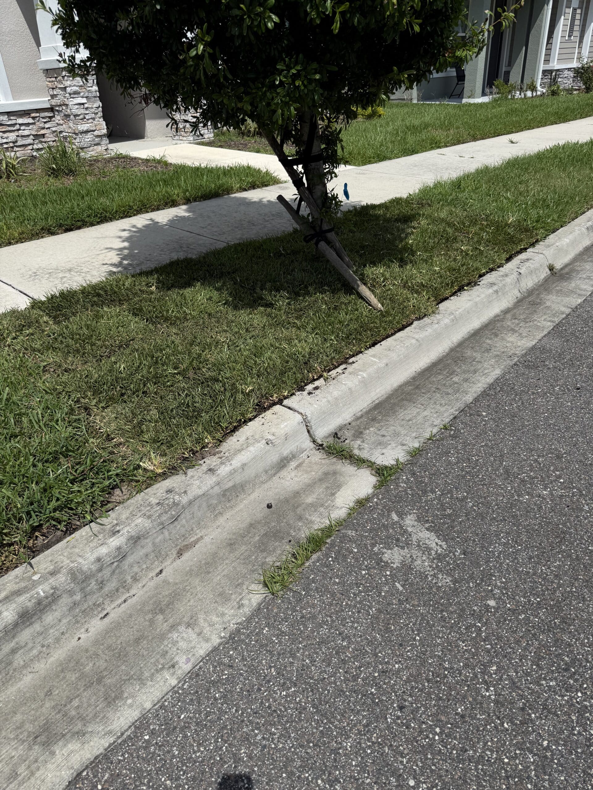 Scheduling sod installation around Tampa, FL rainy season and hurricane season