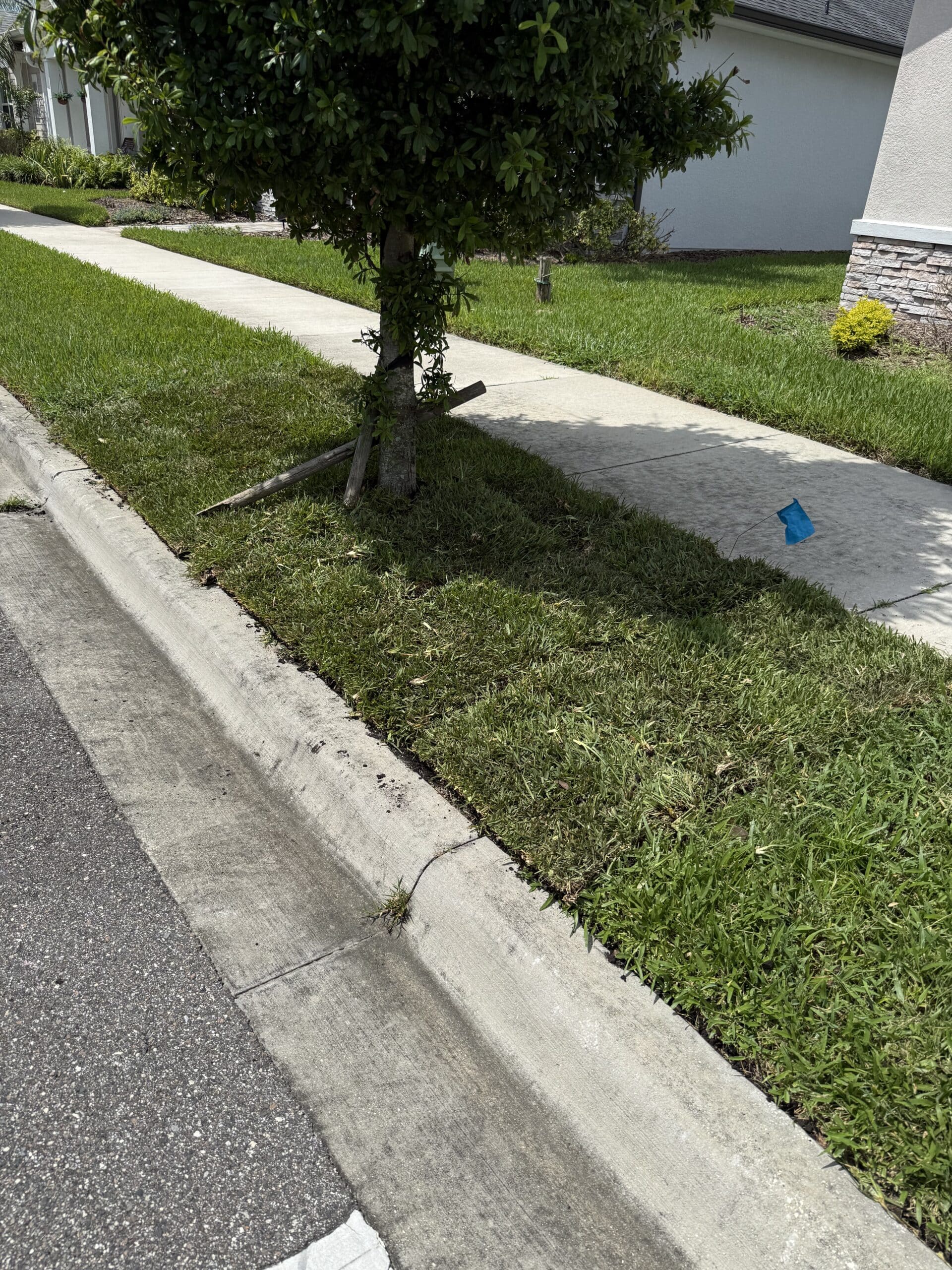 Landscape maintenance questions for Denver properties