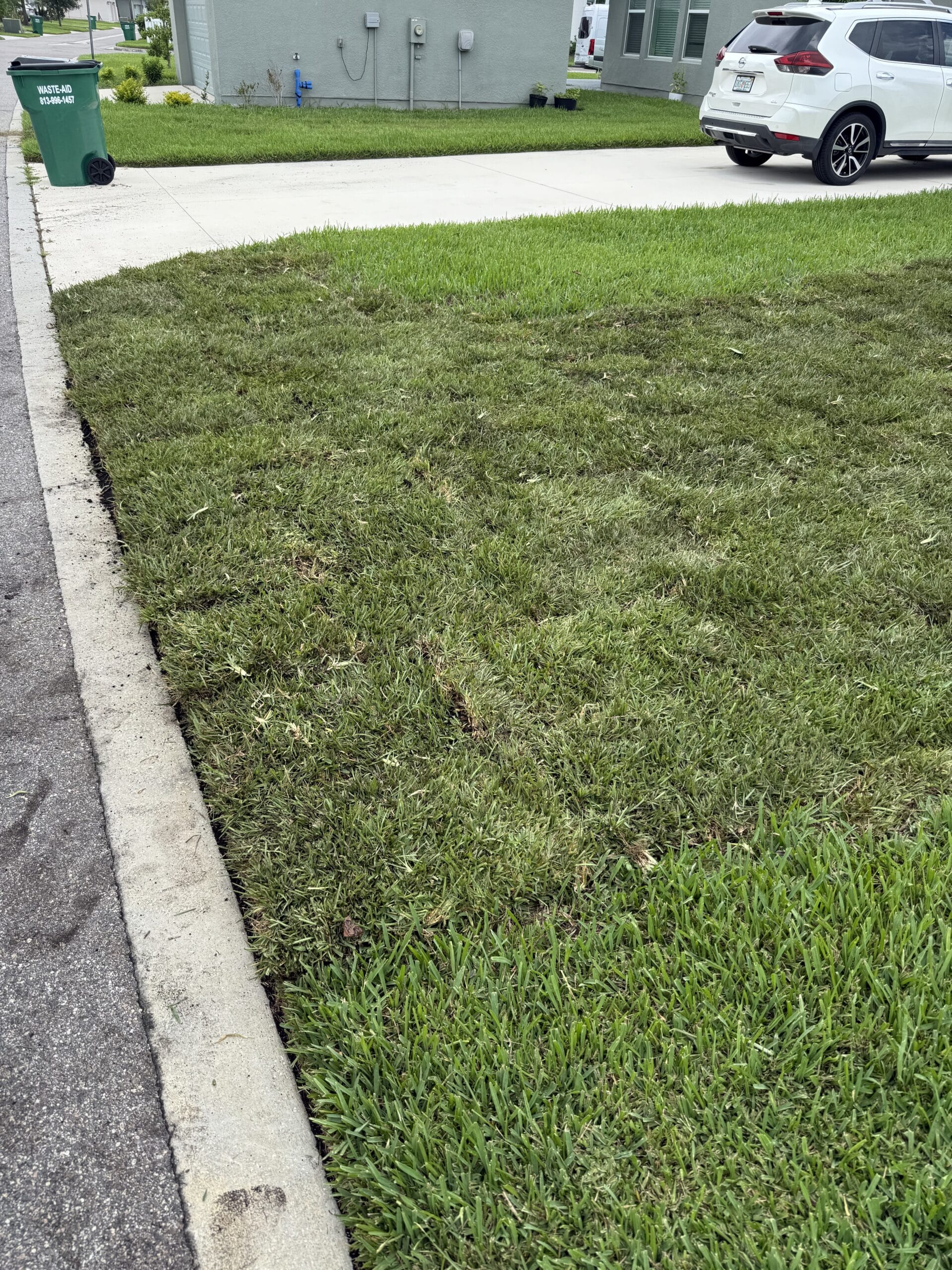 Freshly installed sod lawn in Tampa, FL