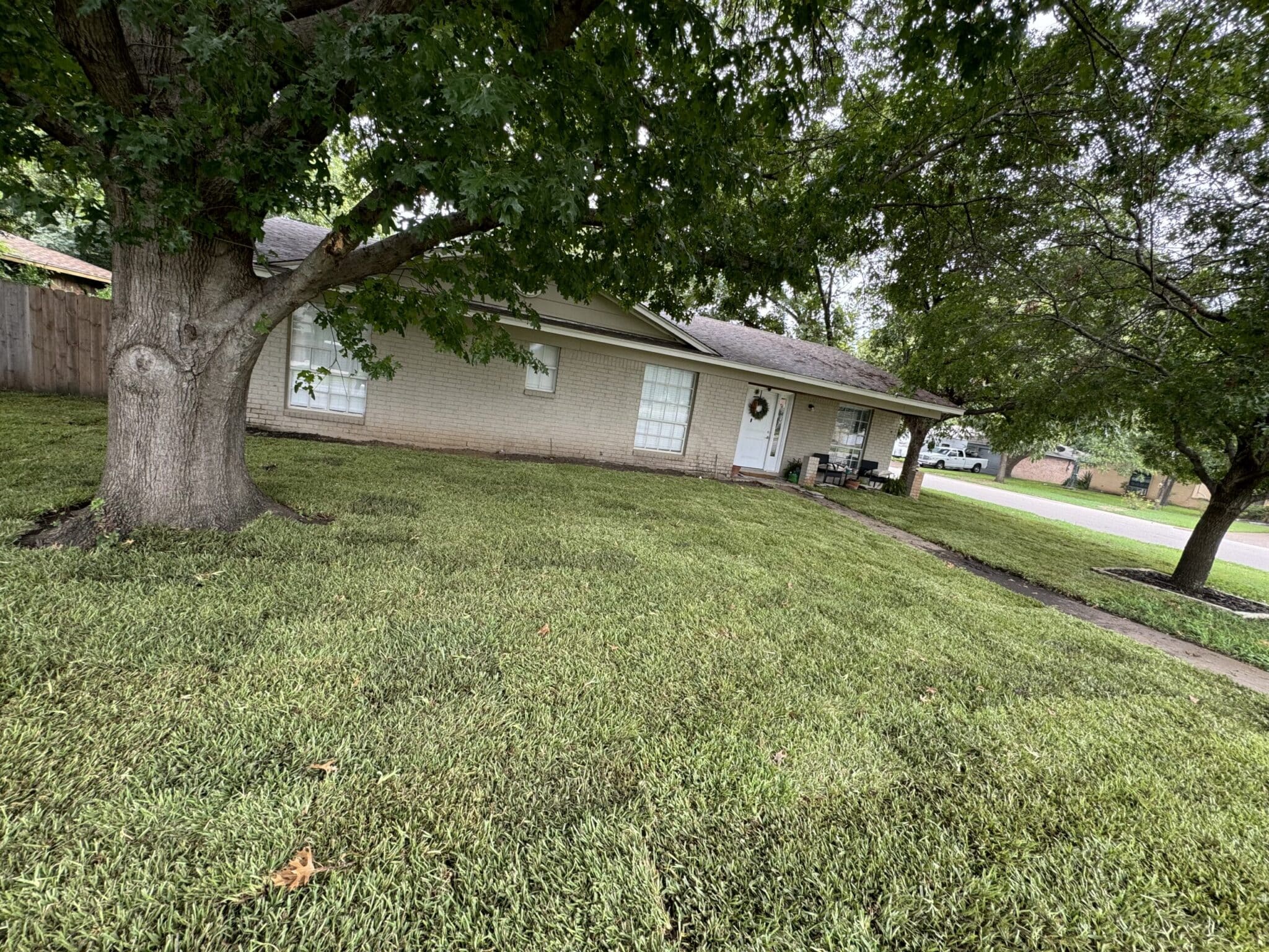 Shaded North Texas yard where St. Augustine grass is a better fit than Bermuda