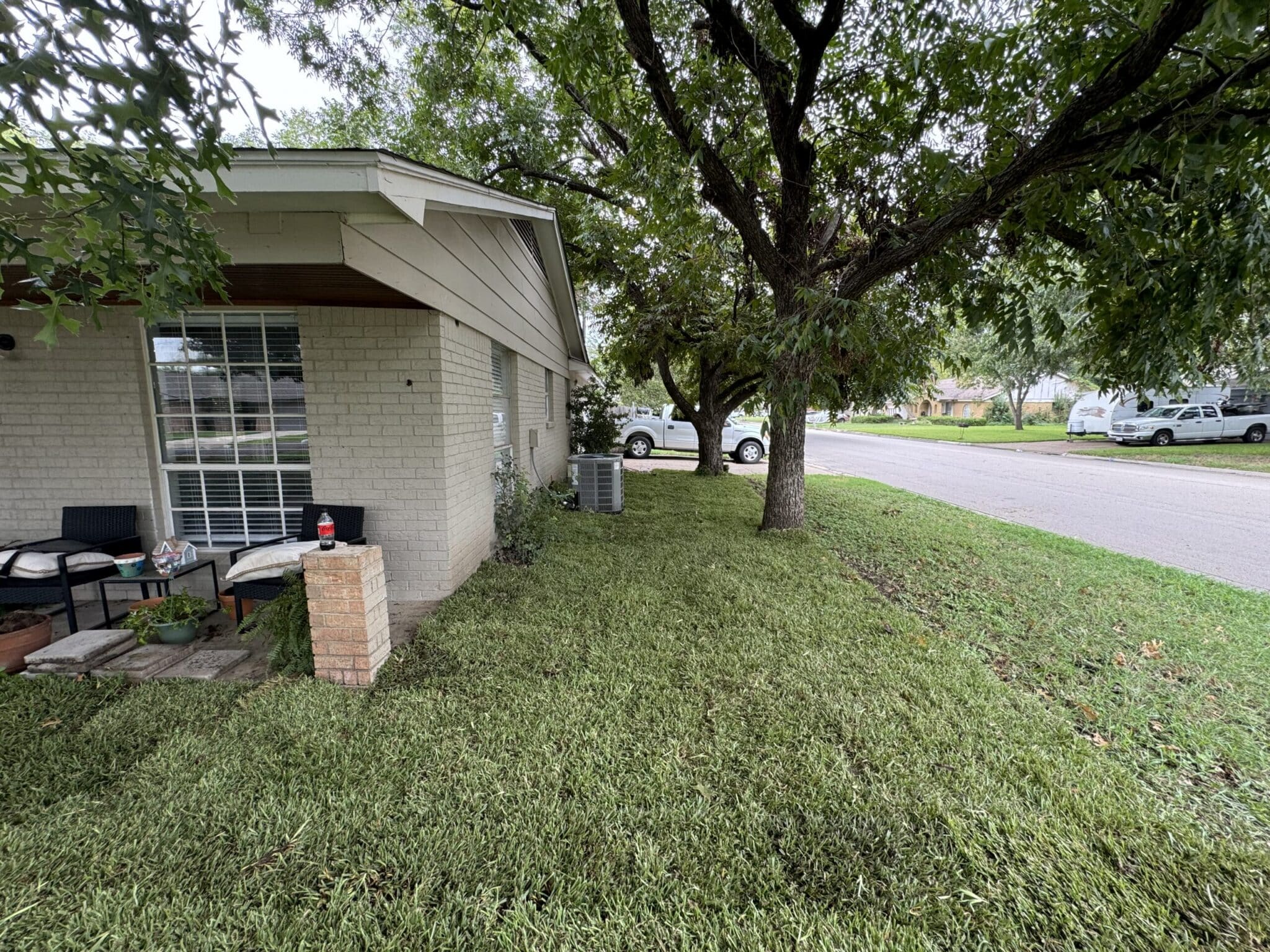 Comparing Bermuda, St. Augustine, and Zoysia sod for a Dallas, TX yard