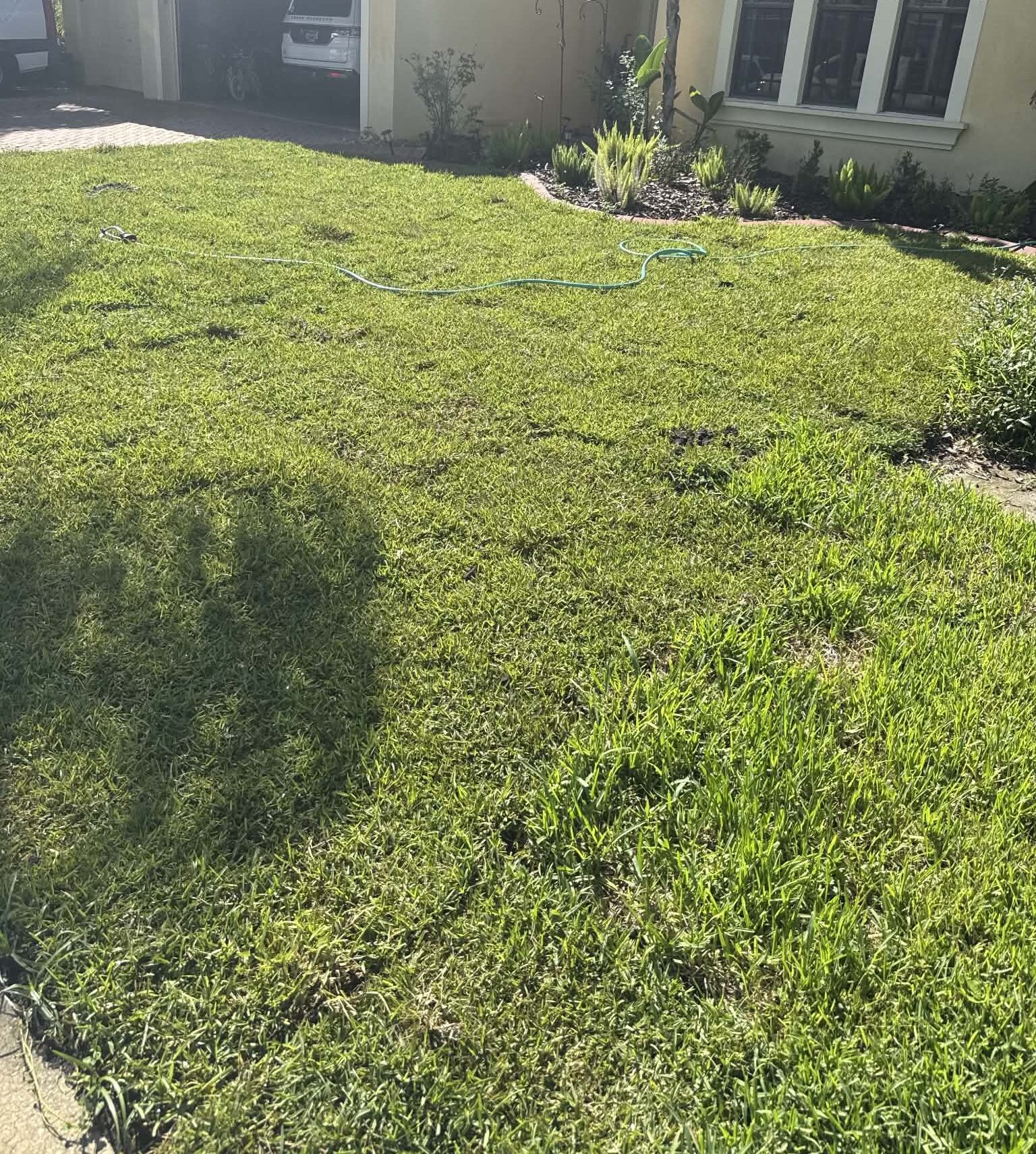 Sod installation in Tampa, FL
