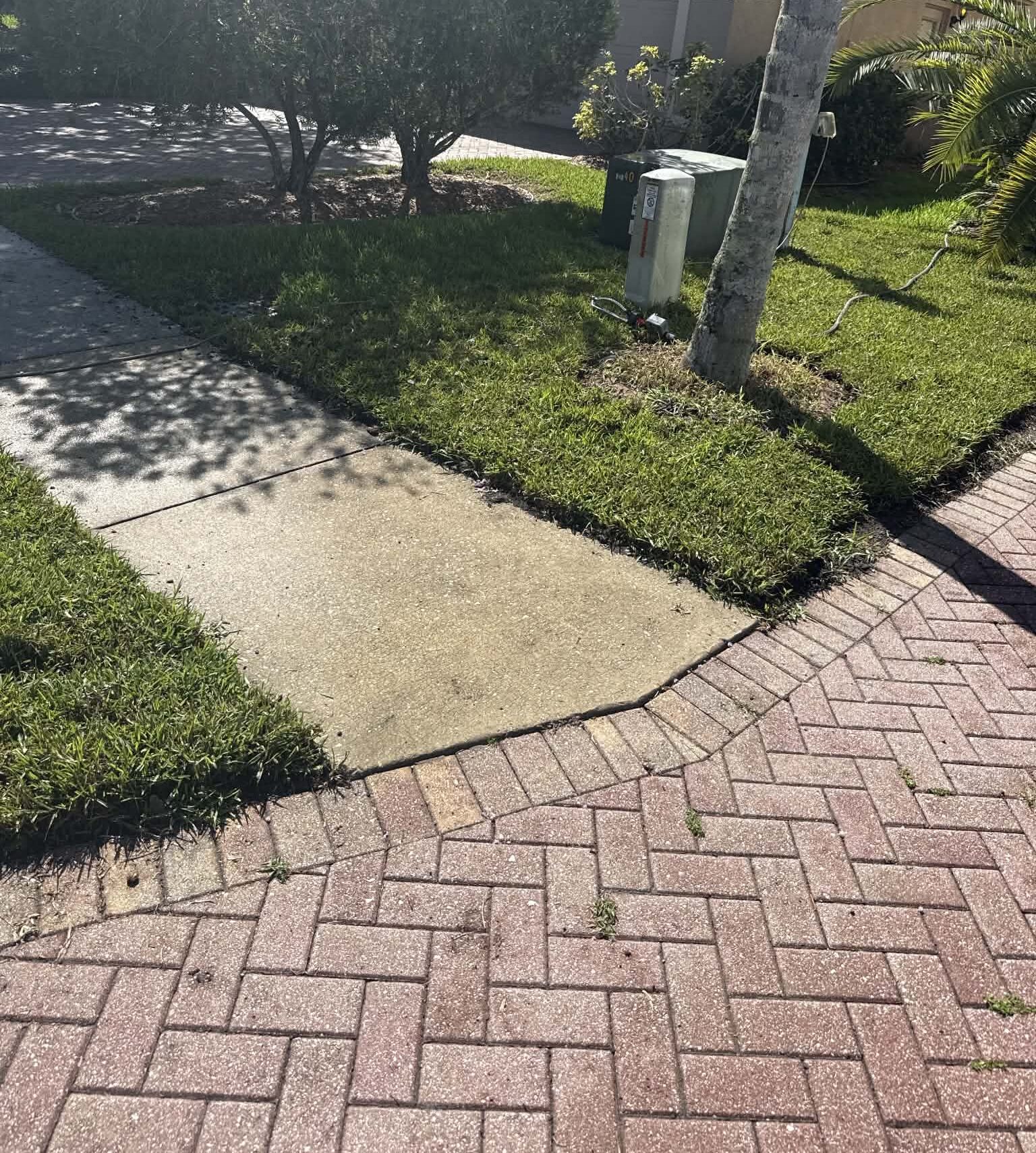Shaded Tampa yard suited to St. Augustine grass instead of Bermuda