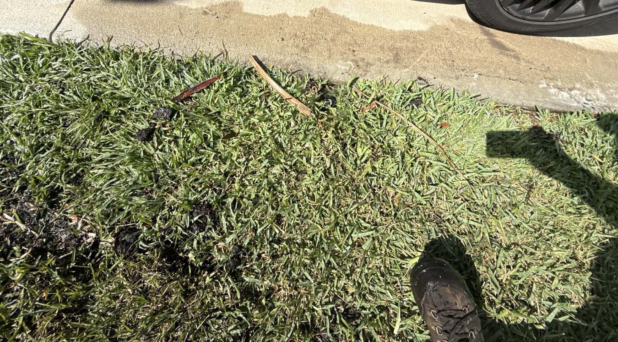 Breaking up caliche hardpan and amending alkaline soil before sod installation in Las Vegas, NV
