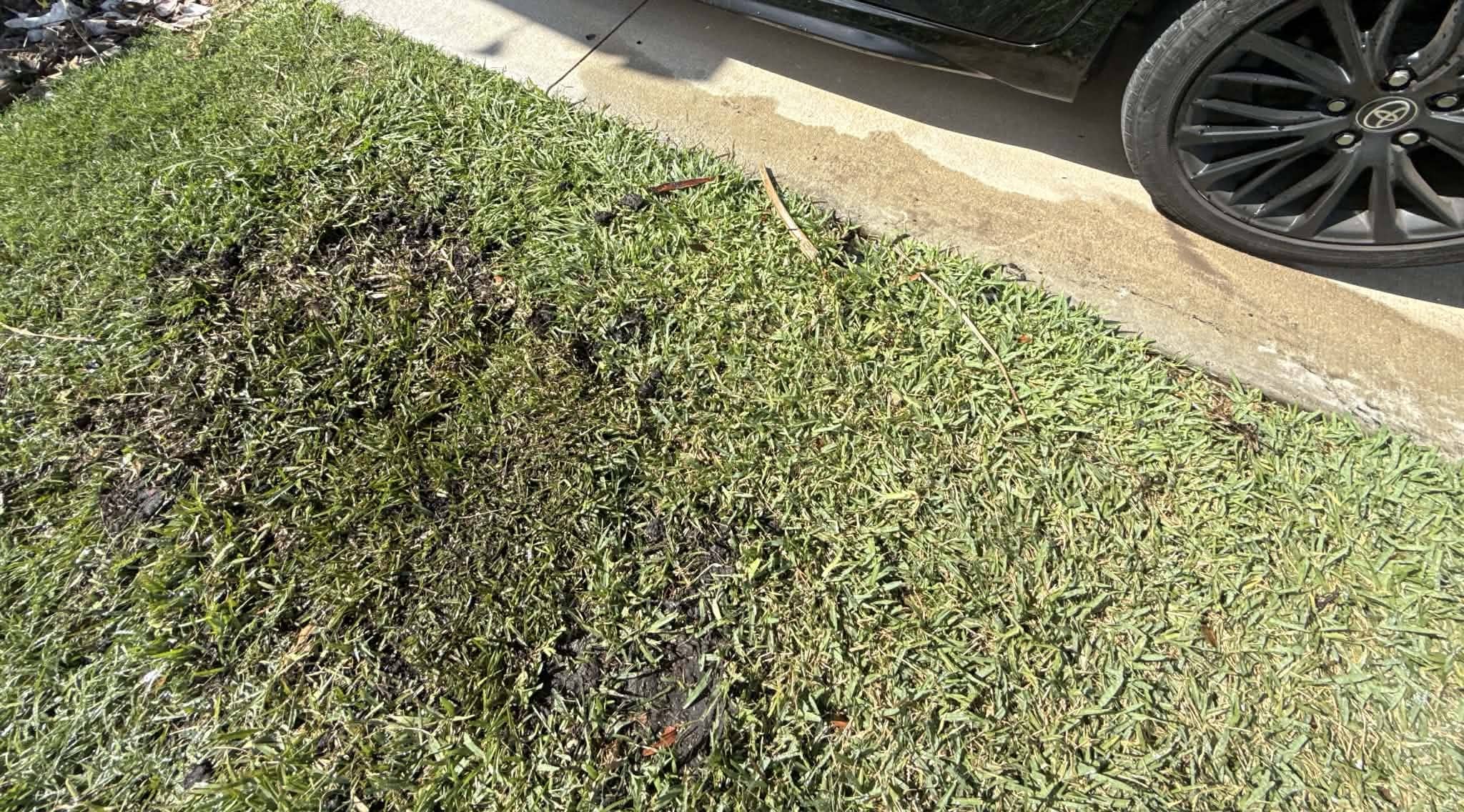 Sod installation in San Antonio, TX
