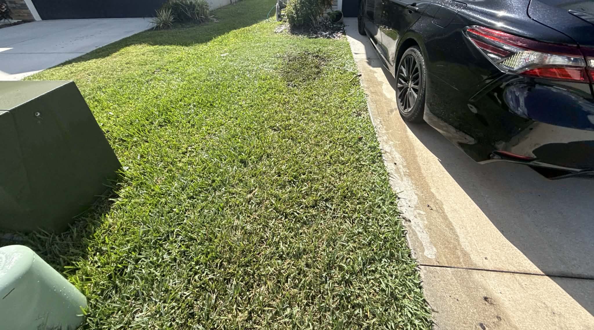 Freshly installed sod lawn in Las Vegas, NV