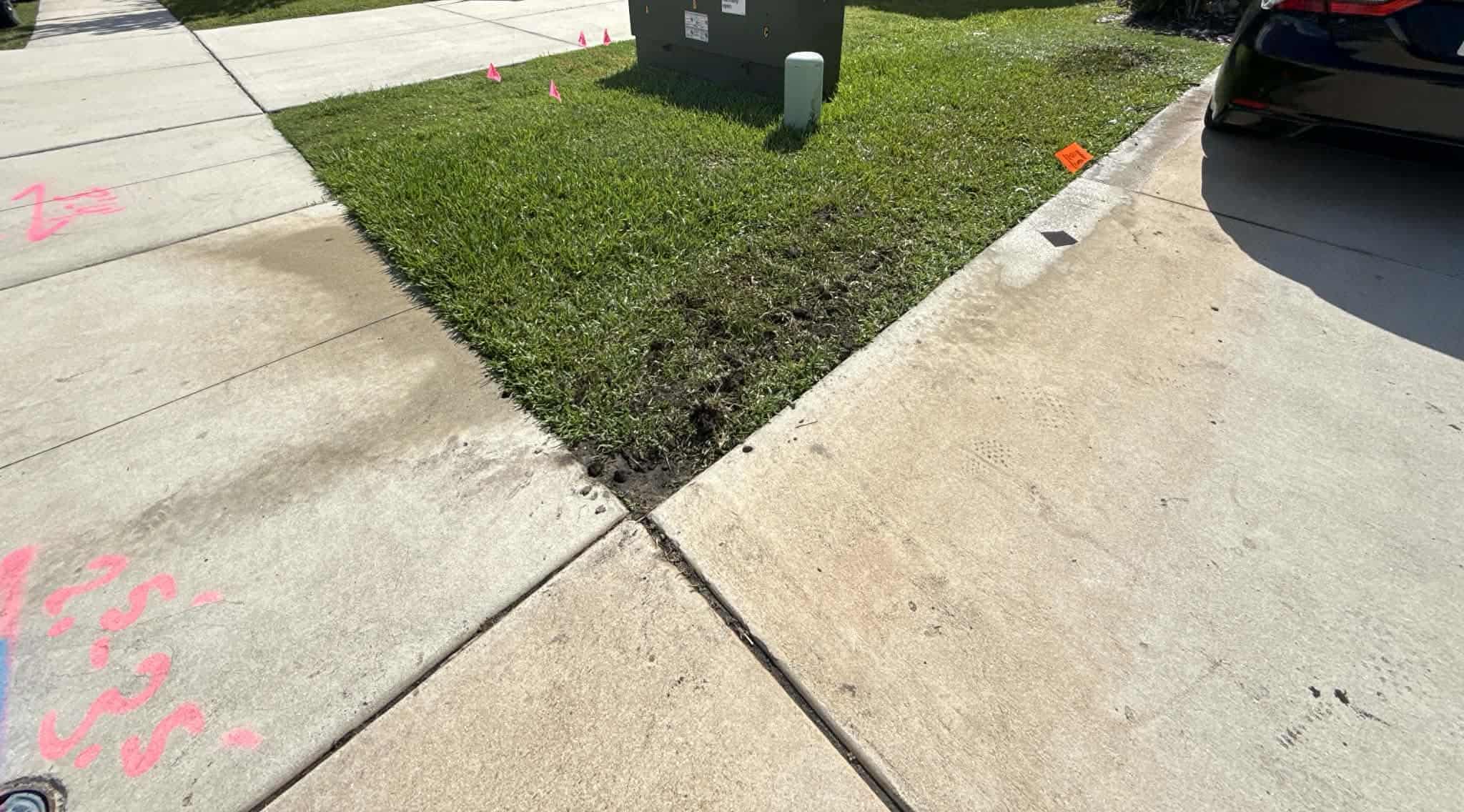 New sod watered on a SAWS-restricted schedule during San Antonio's long hot season