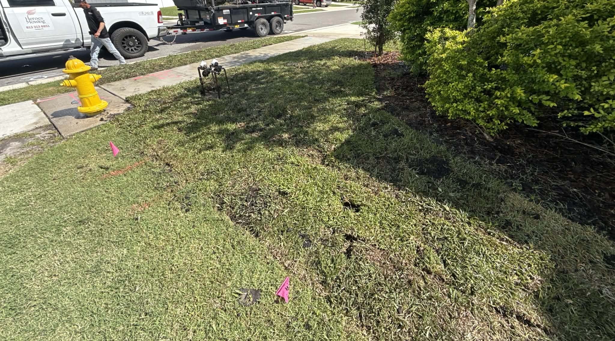 Comparing Bermuda, Zoysia, and St. Augustine sod for a San Antonio, TX yard