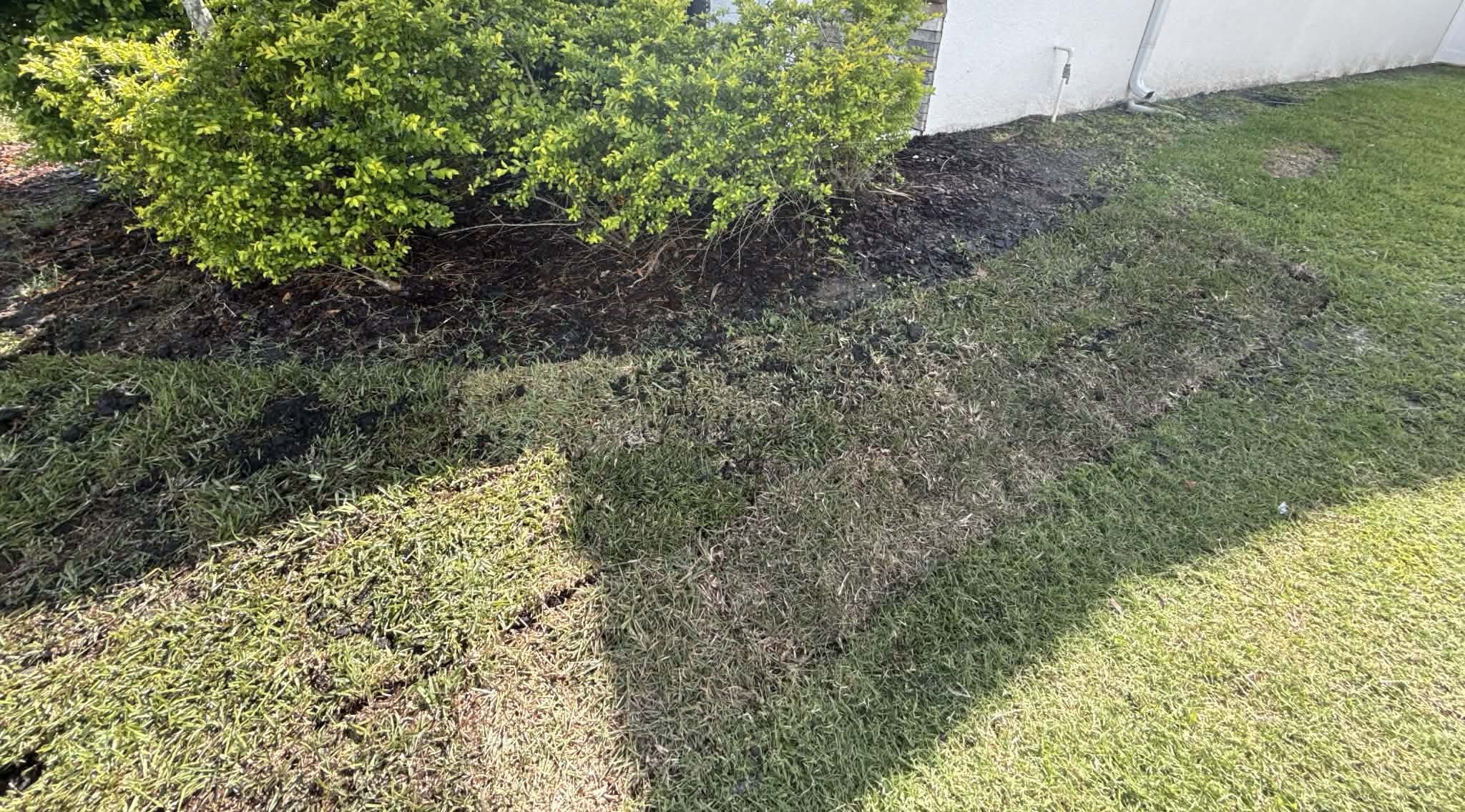 Checking an irrigation zone against SAWS watering restrictions before sod installation