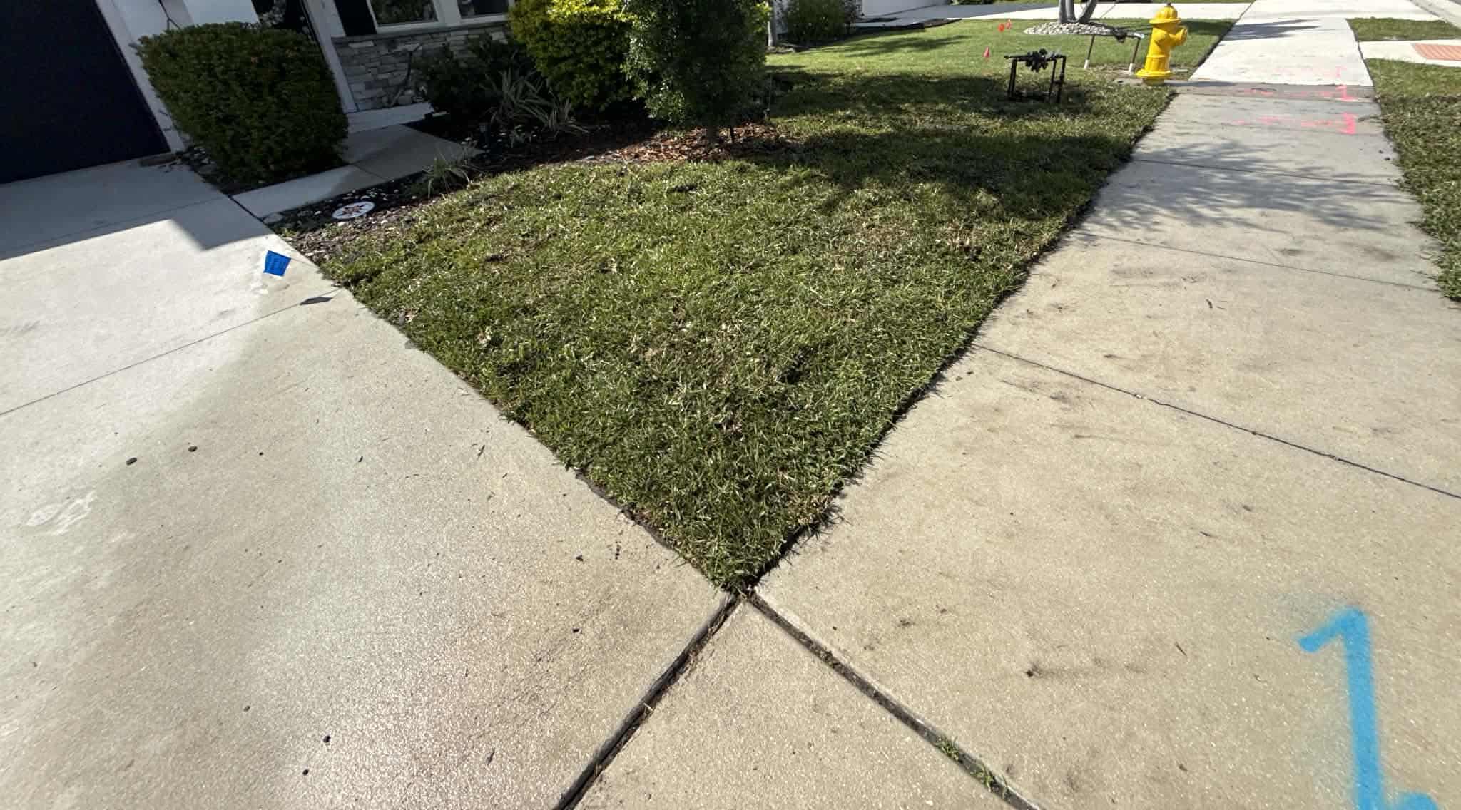 Freshly installed sod lawn in San Antonio, TX
