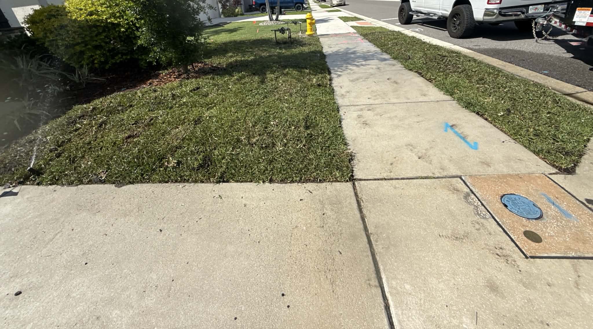 Sod installation in Jacksonville, FL