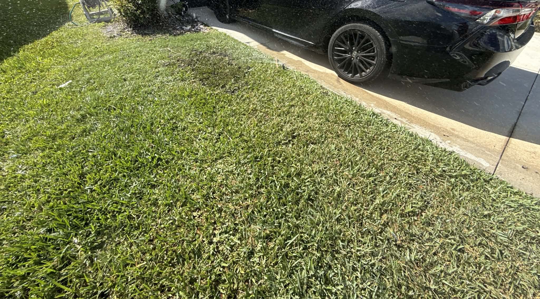 Soil amendment and grading before sod installation in Jacksonville, FL