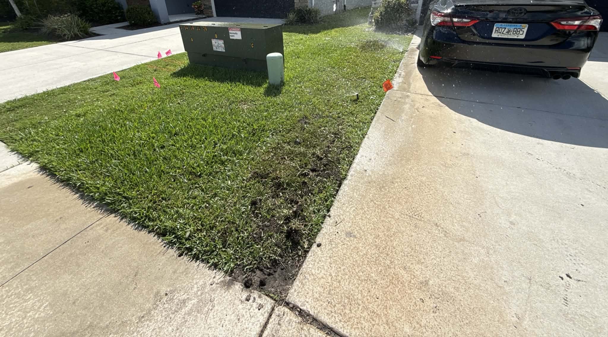 Comparing St. Augustine, Bermuda, and Centipede sod for a Jacksonville, FL yard