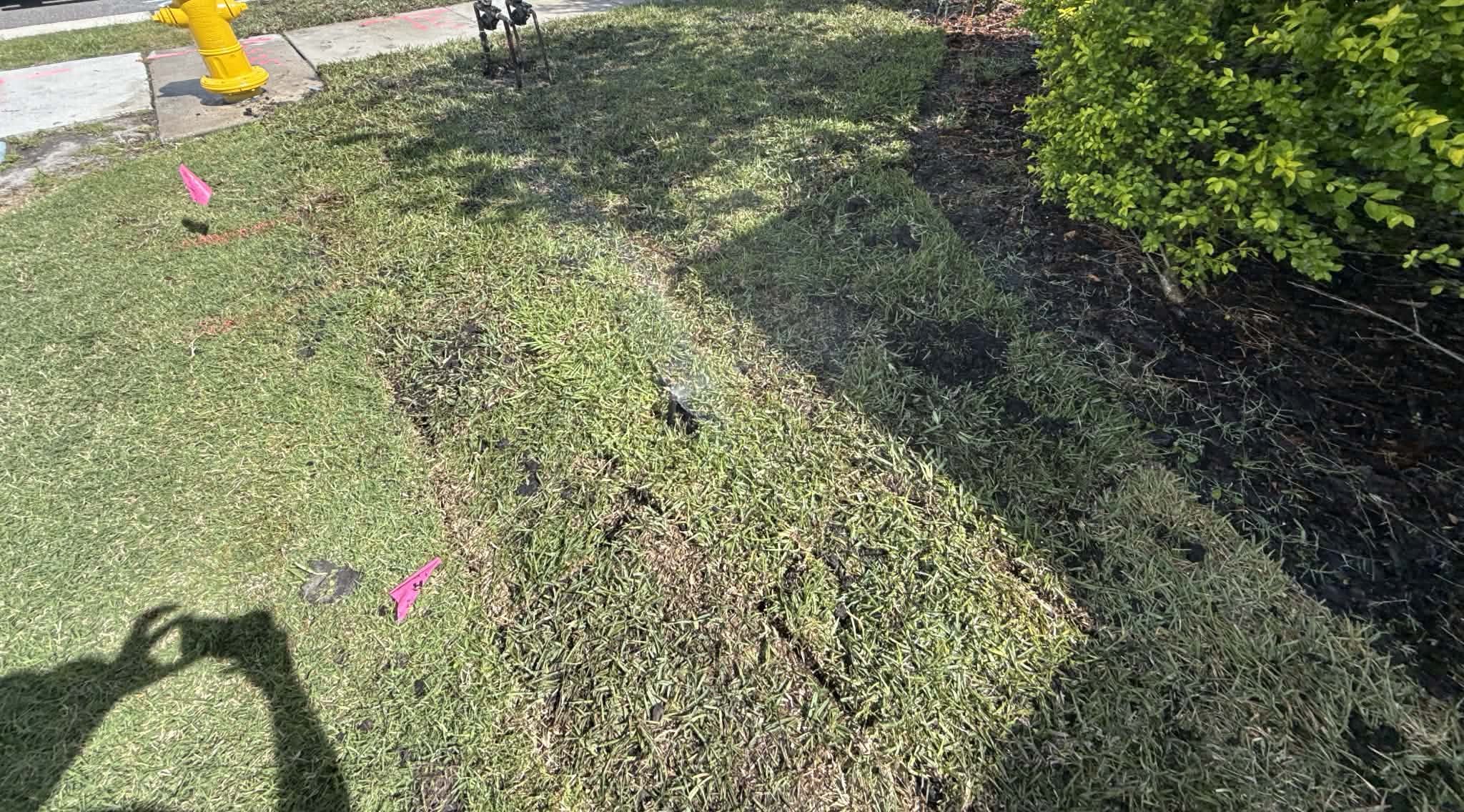 Front yard in Las Vegas, NV where turf is restricted under SNWA rules