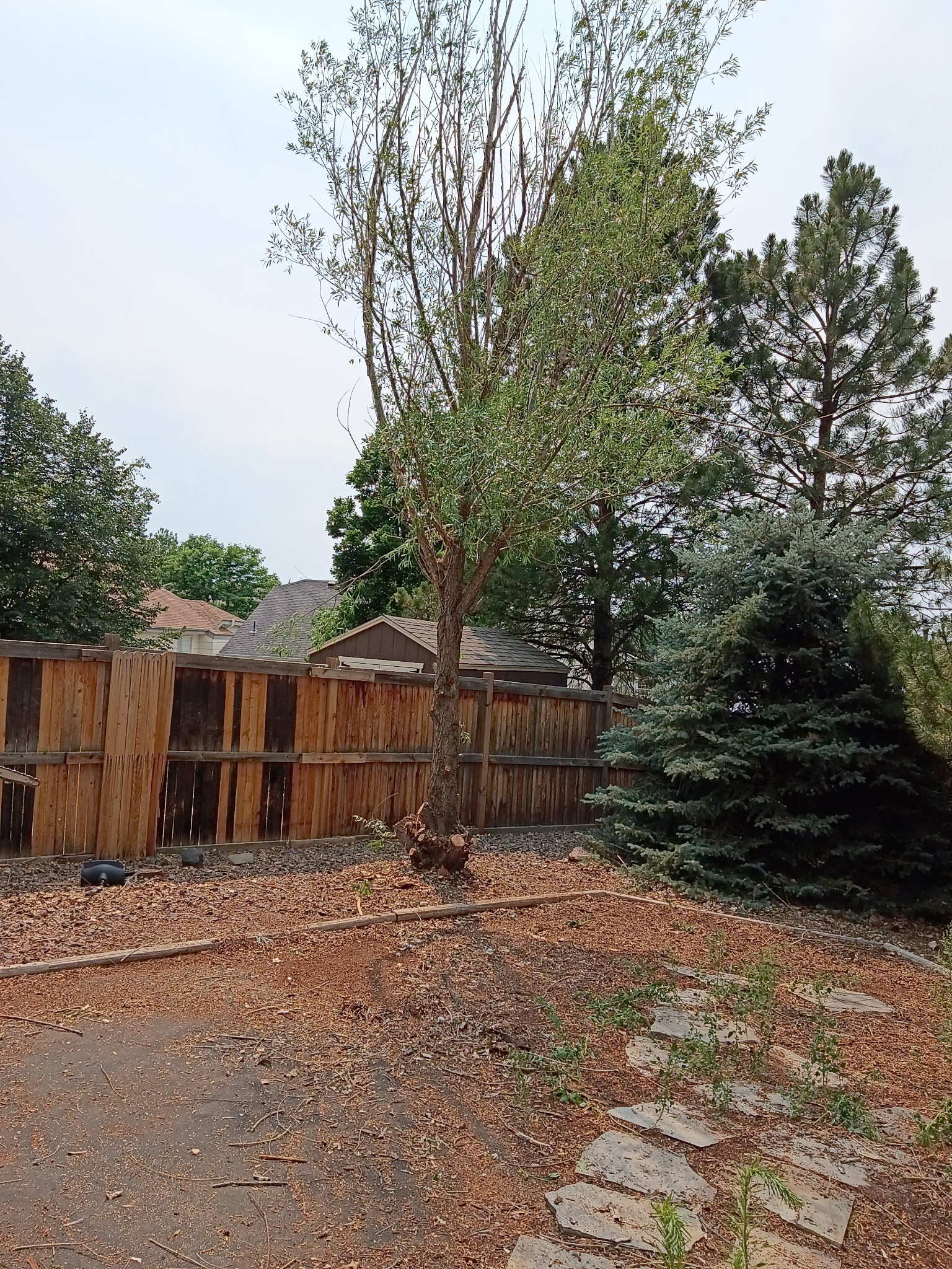 Fence & Deck Repair in Denver, CO